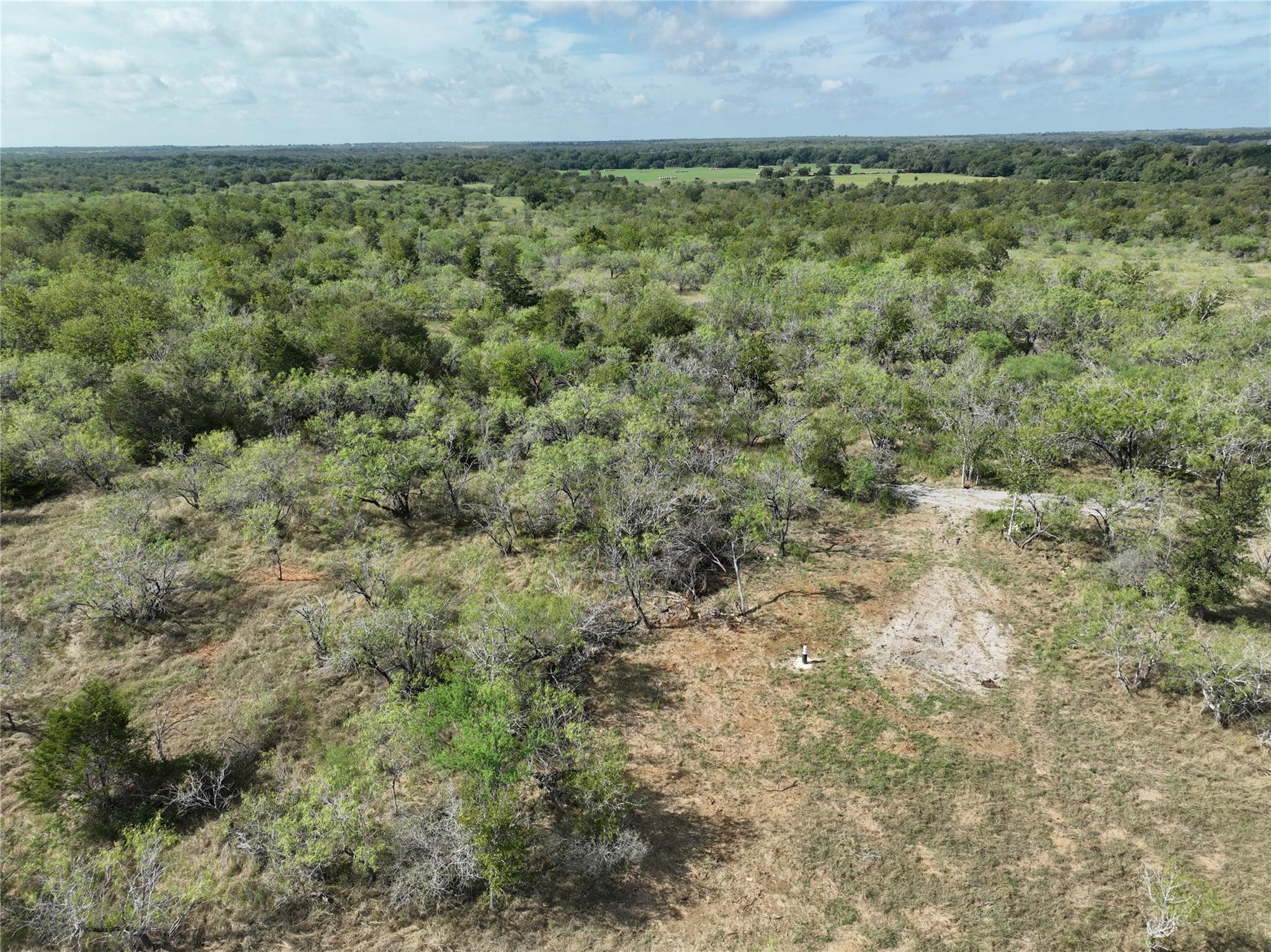 TBD Lot 22 CR 424 Rd, Waelder, TX 78629