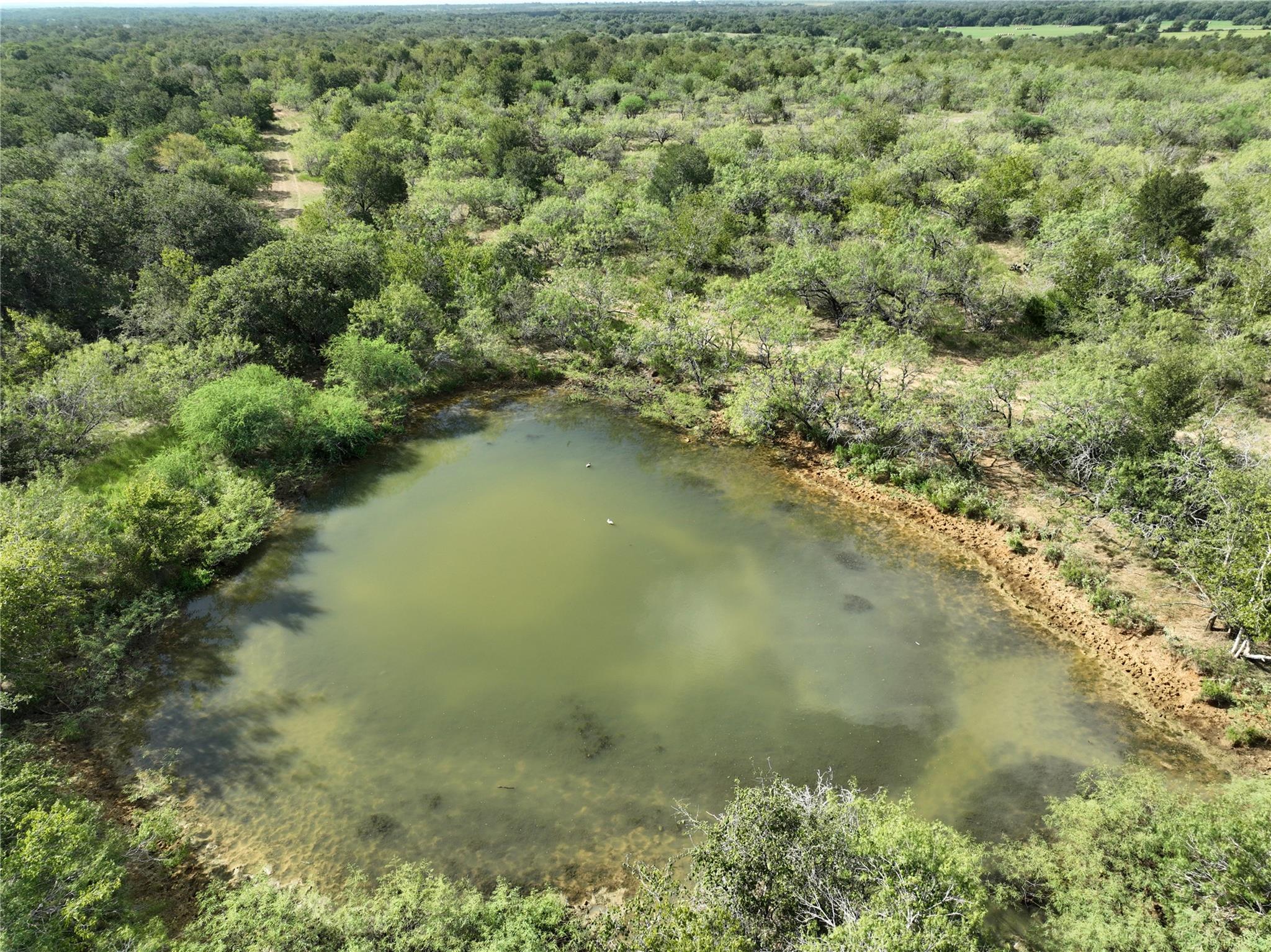 TBD Lot 22 CR 424 Rd, Waelder, TX 78629