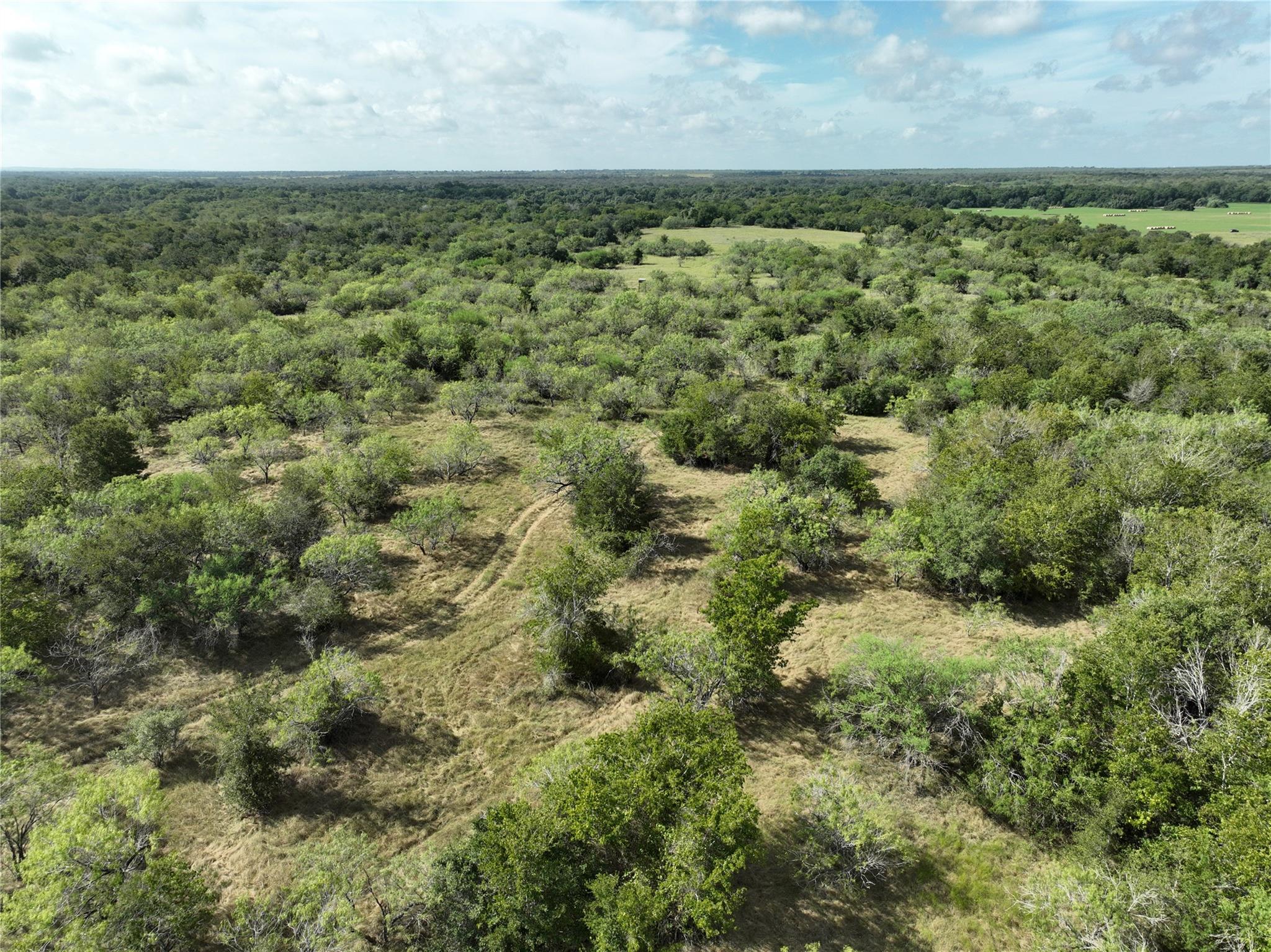 TBD Lot 22 CR 424 Rd, Waelder, TX 78629