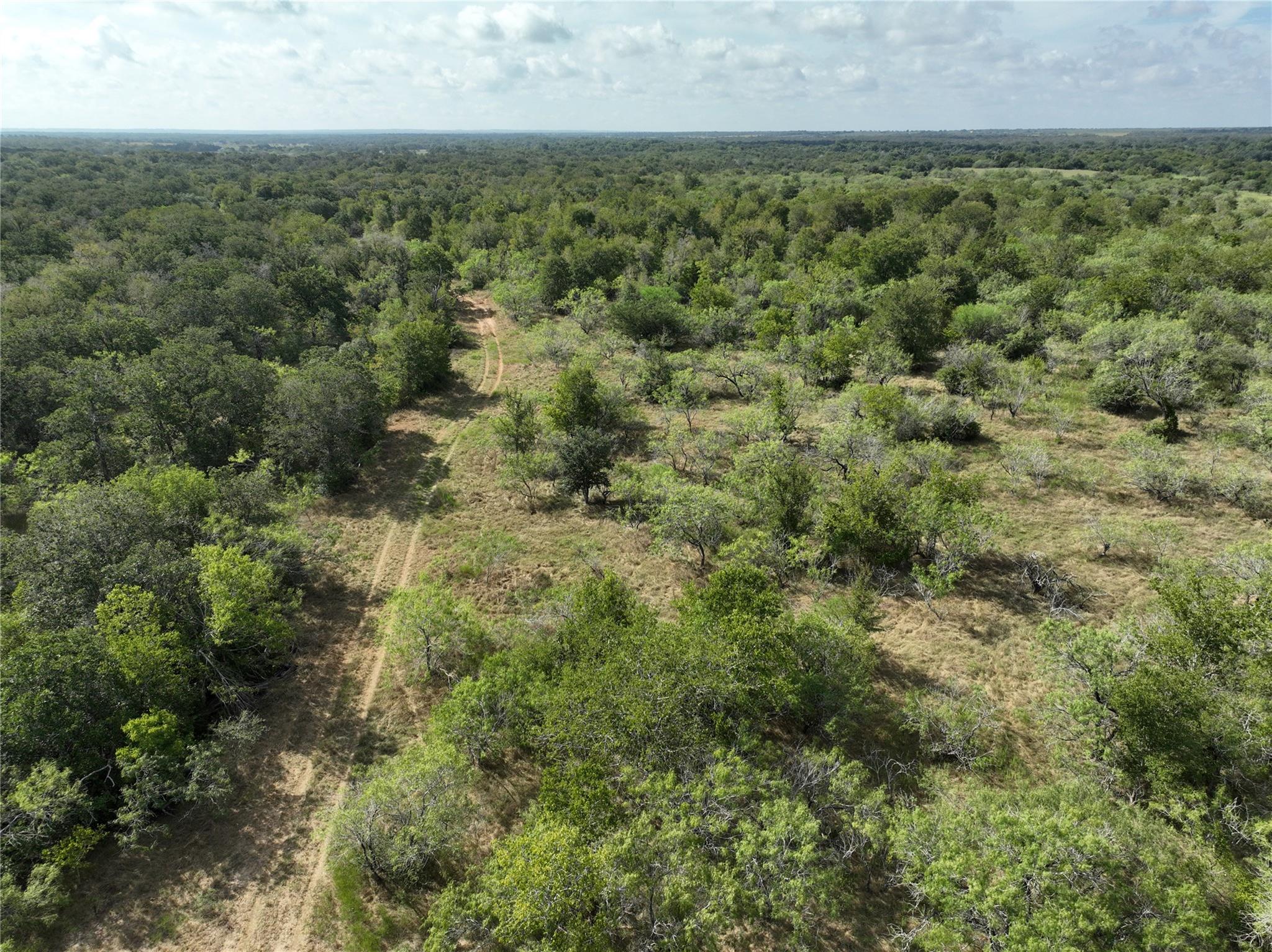 TBD Lot 22 CR 424 Rd, Waelder, TX 78629