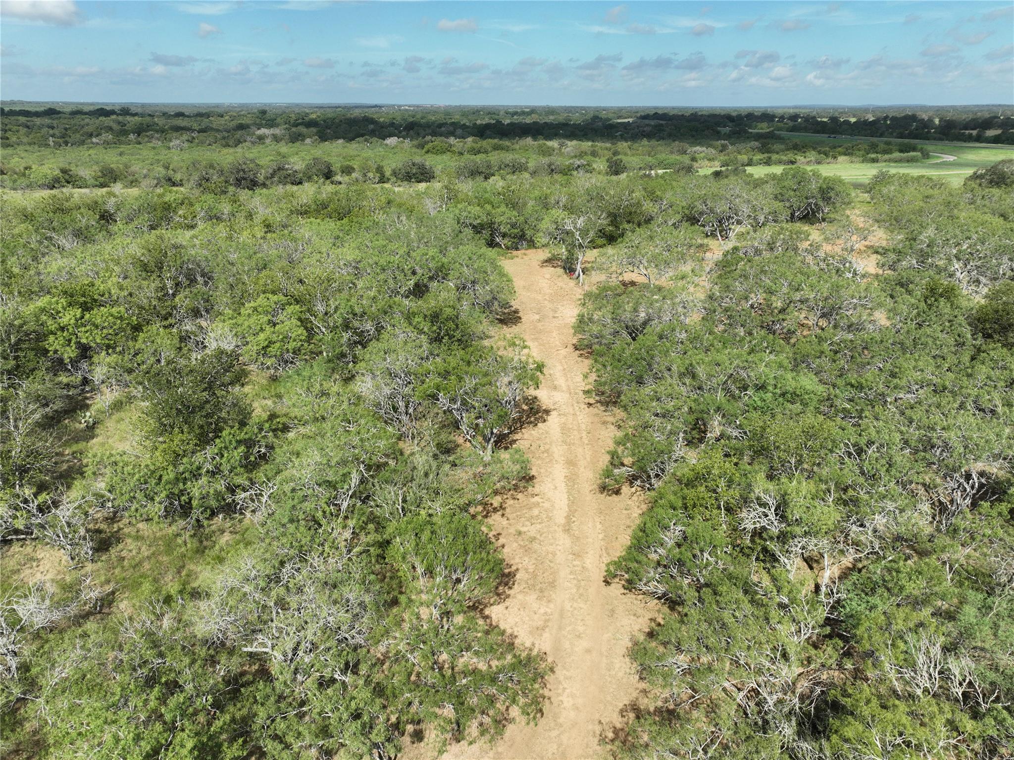 TBD Lot 22 CR 424 Rd, Waelder, TX 78629
