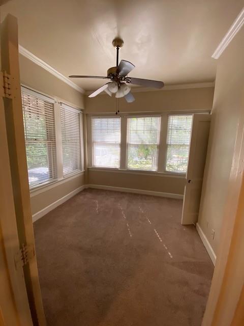 3800 Avenue F, Austin, TX 78751