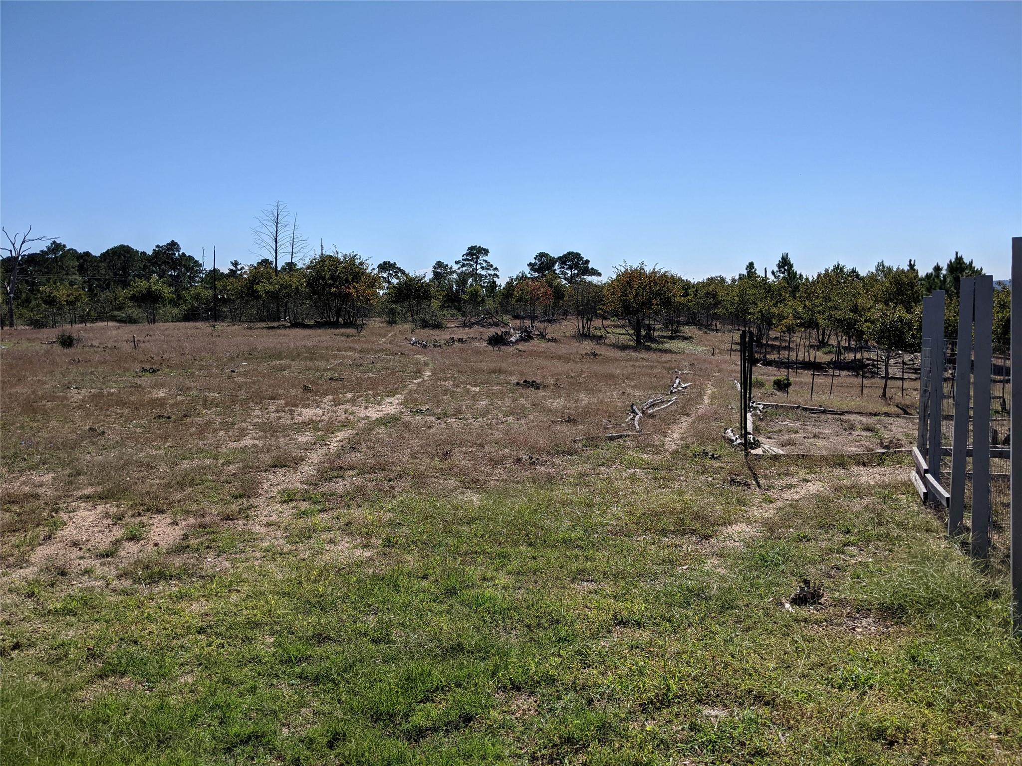 143 Spring Hollow Trl, Smithville, TX 78957