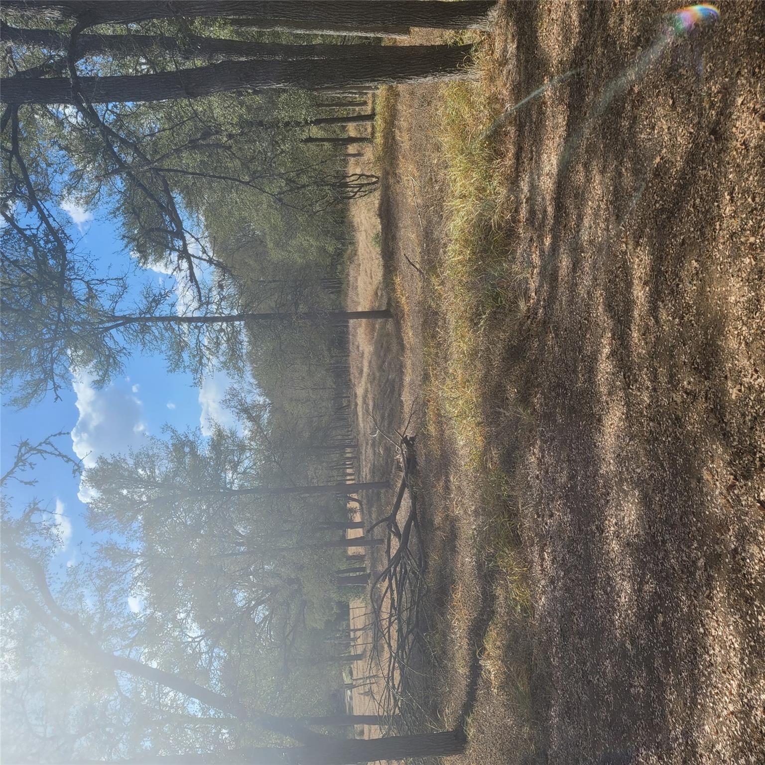 2492 Fm 1704, Elgin, TX 78621