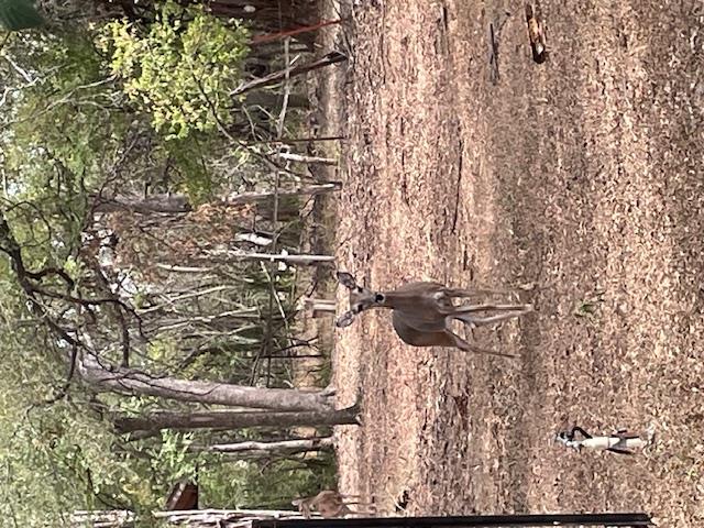 10801 Slaughter Creek Dr, Austin, TX 78748