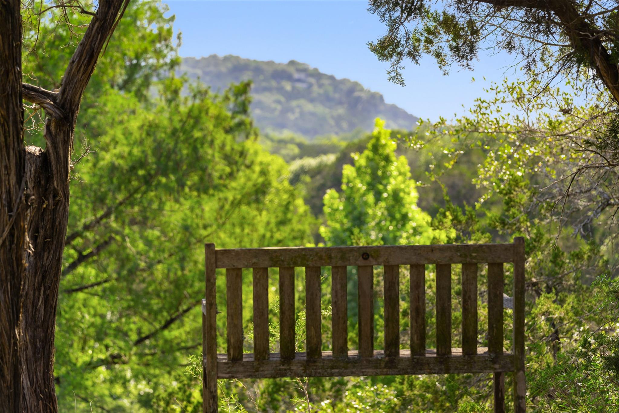 1601 Wild Basin Ledge, Austin, TX 78746