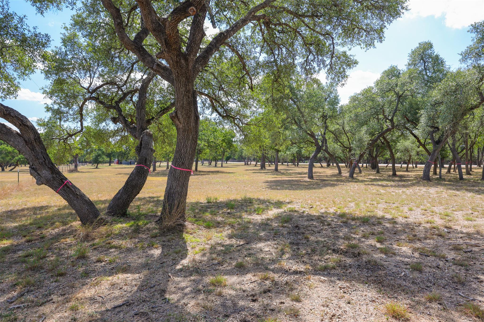 1301 Sandy Point Rd, Wimberley, TX 78676