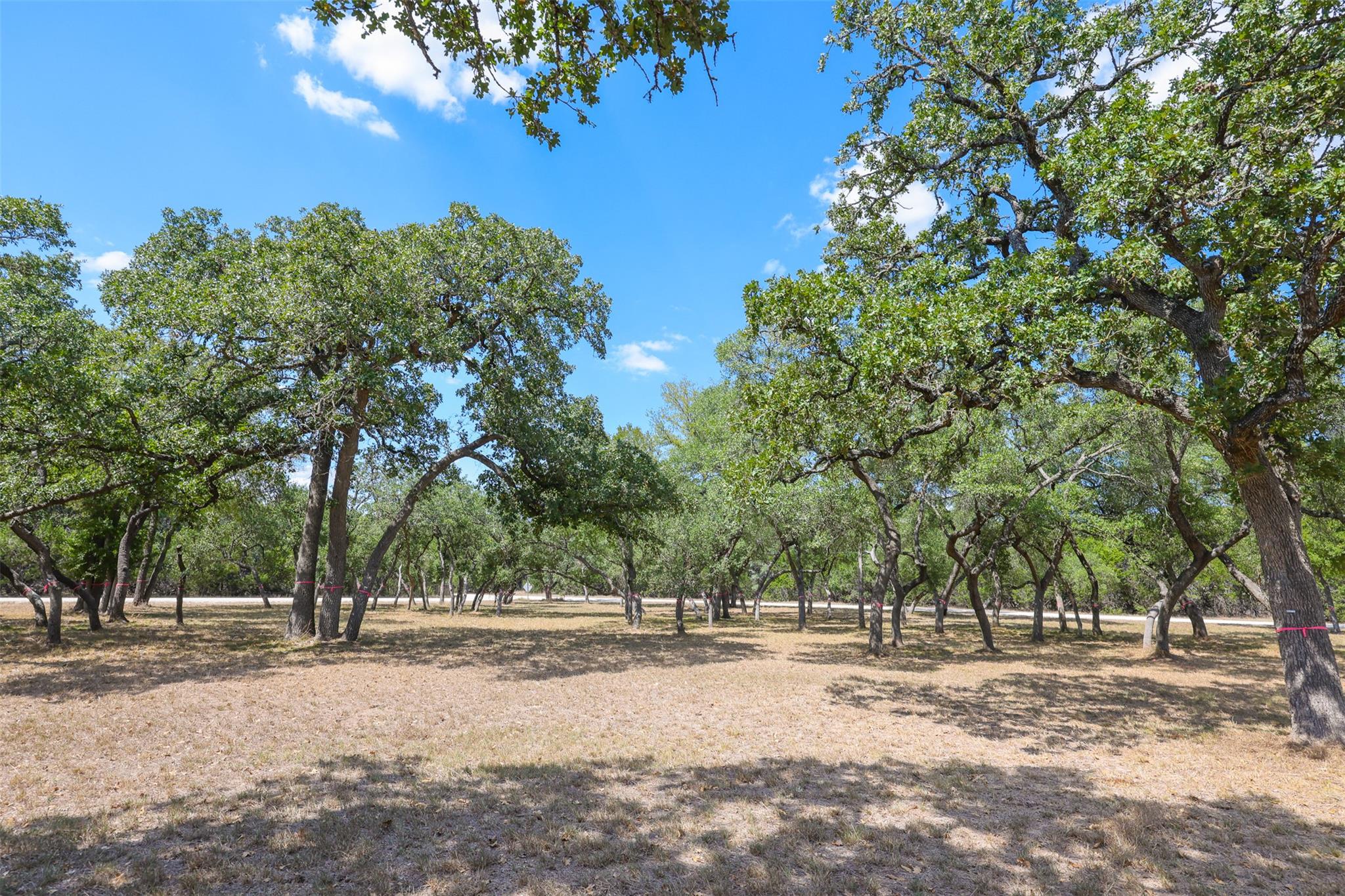 1301 Sandy Point Rd, Wimberley, TX 78676