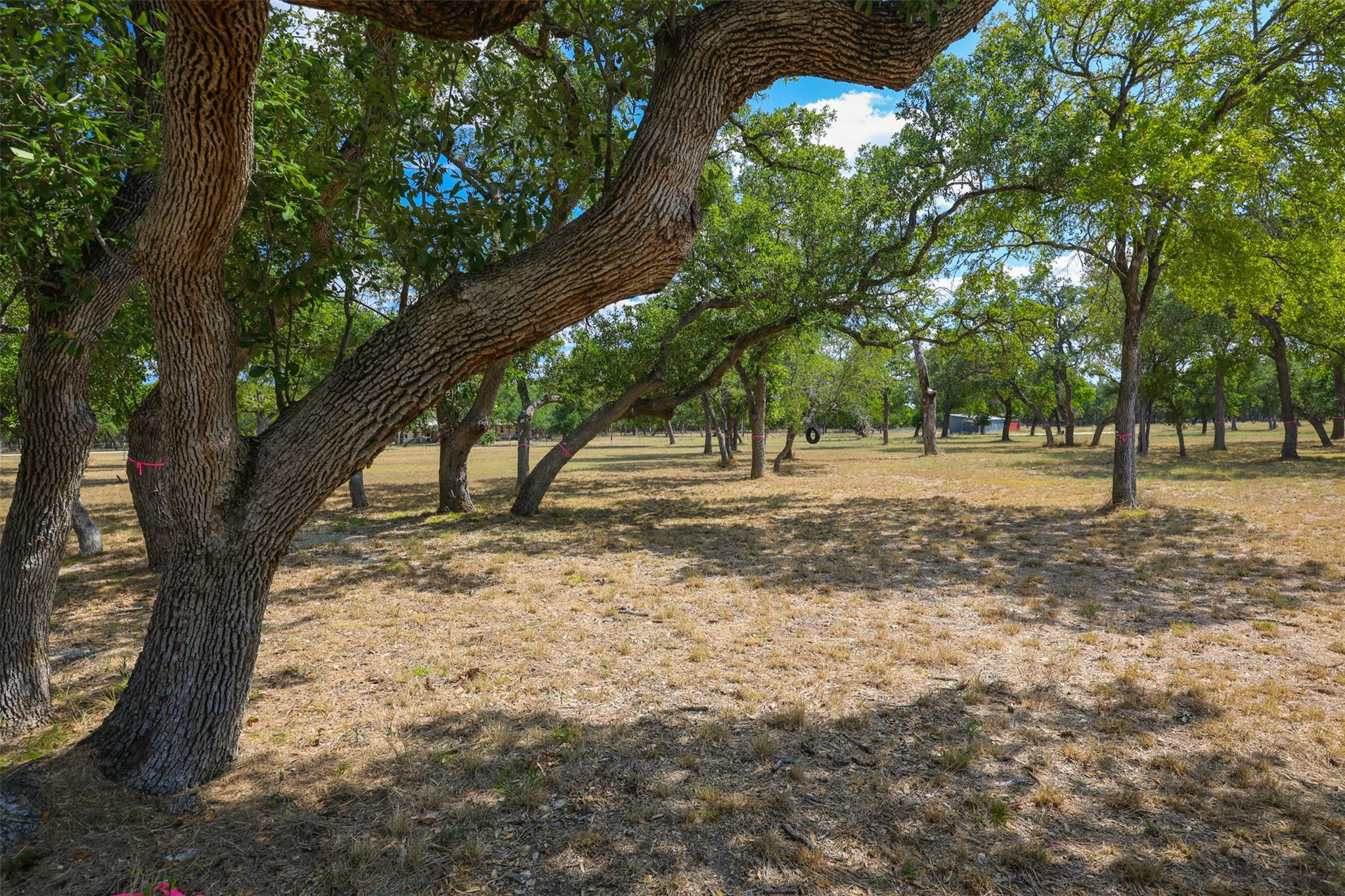 1301 Sandy Point Rd, Wimberley, TX 78676