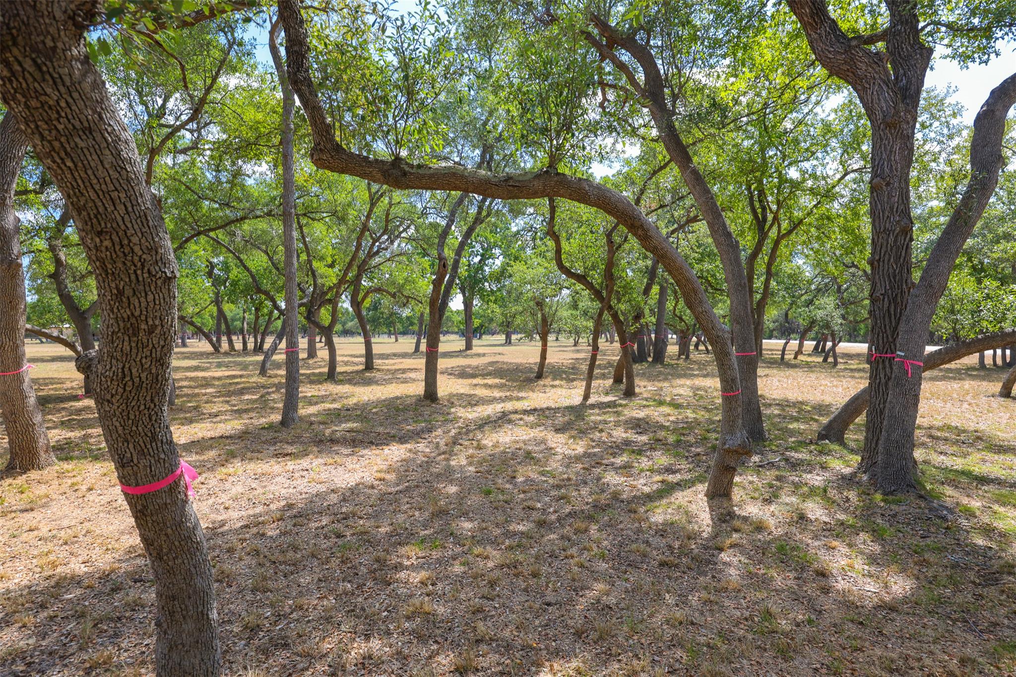 1301 Sandy Point Rd, Wimberley, TX 78676