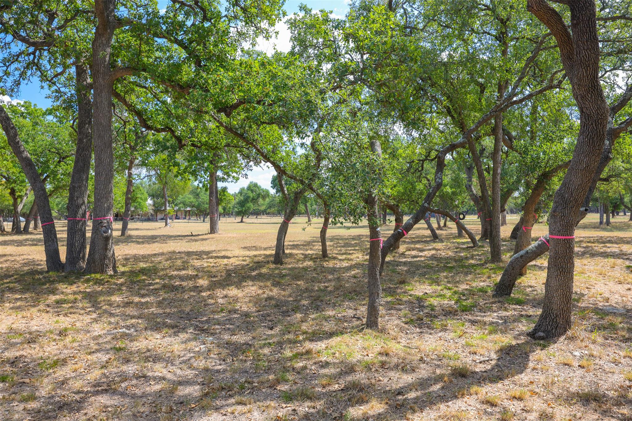 1301 Sandy Point Rd, Wimberley, TX 78676