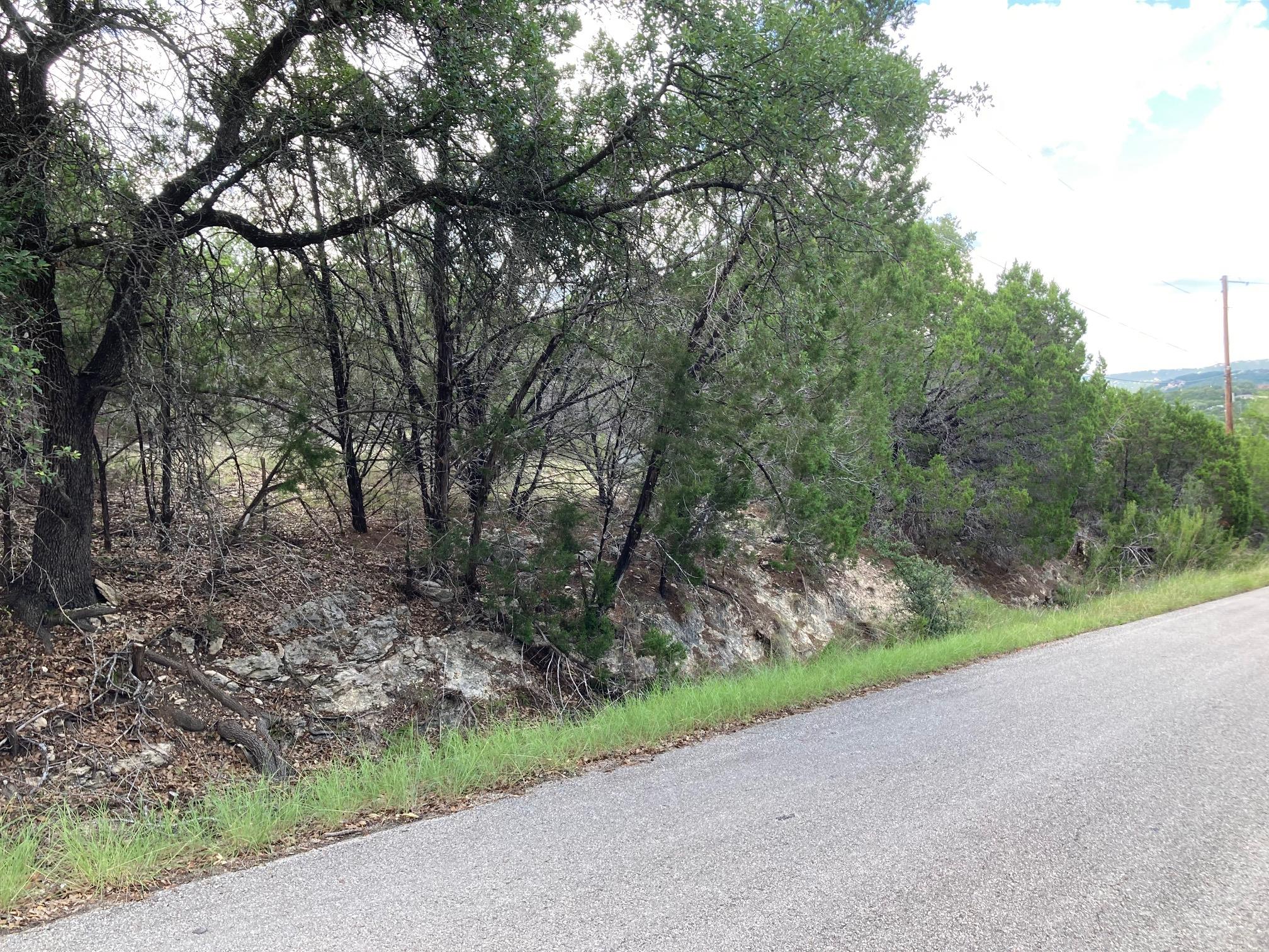 21305 Mount View Dr, Leander, TX 78645