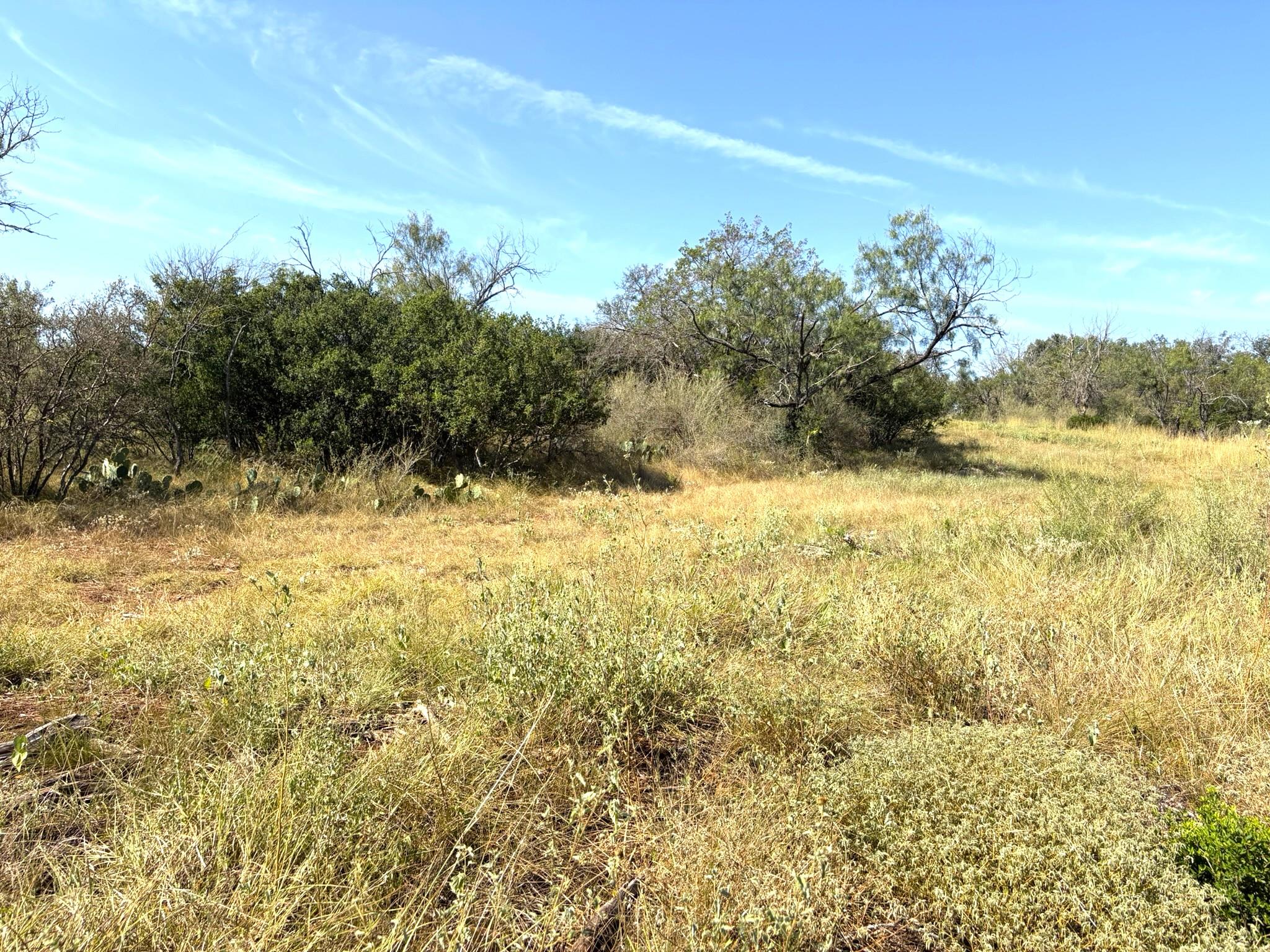 376 Sandy Mountain Dr, Sunrise Beach, TX 78643