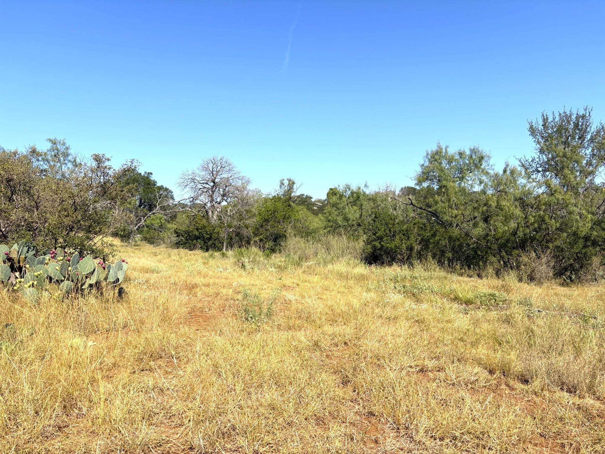 376 Sandy Mountain Dr, Sunrise Beach, TX 78643