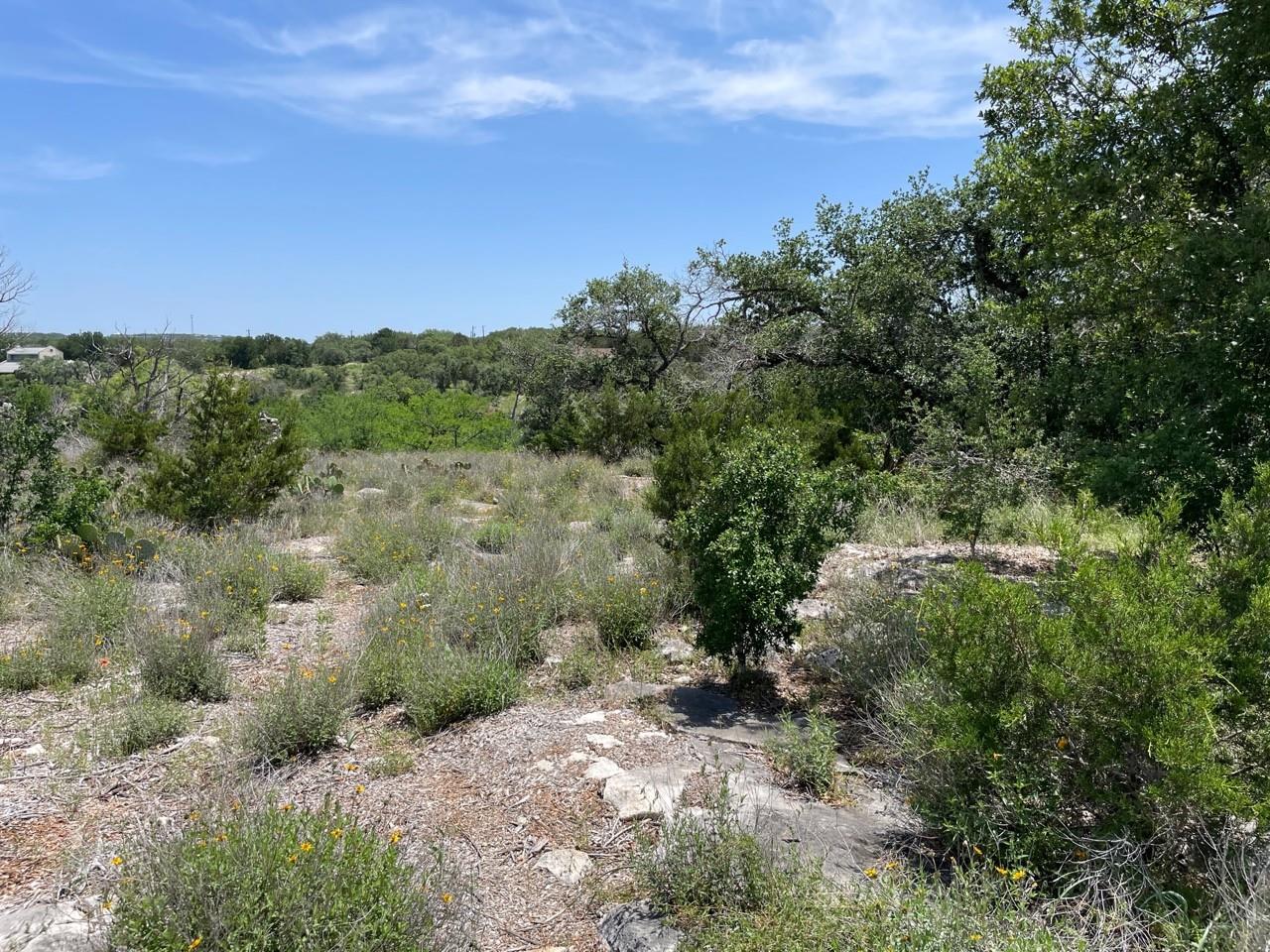 4207 Three Creek Trl, Spicewood, TX 78669