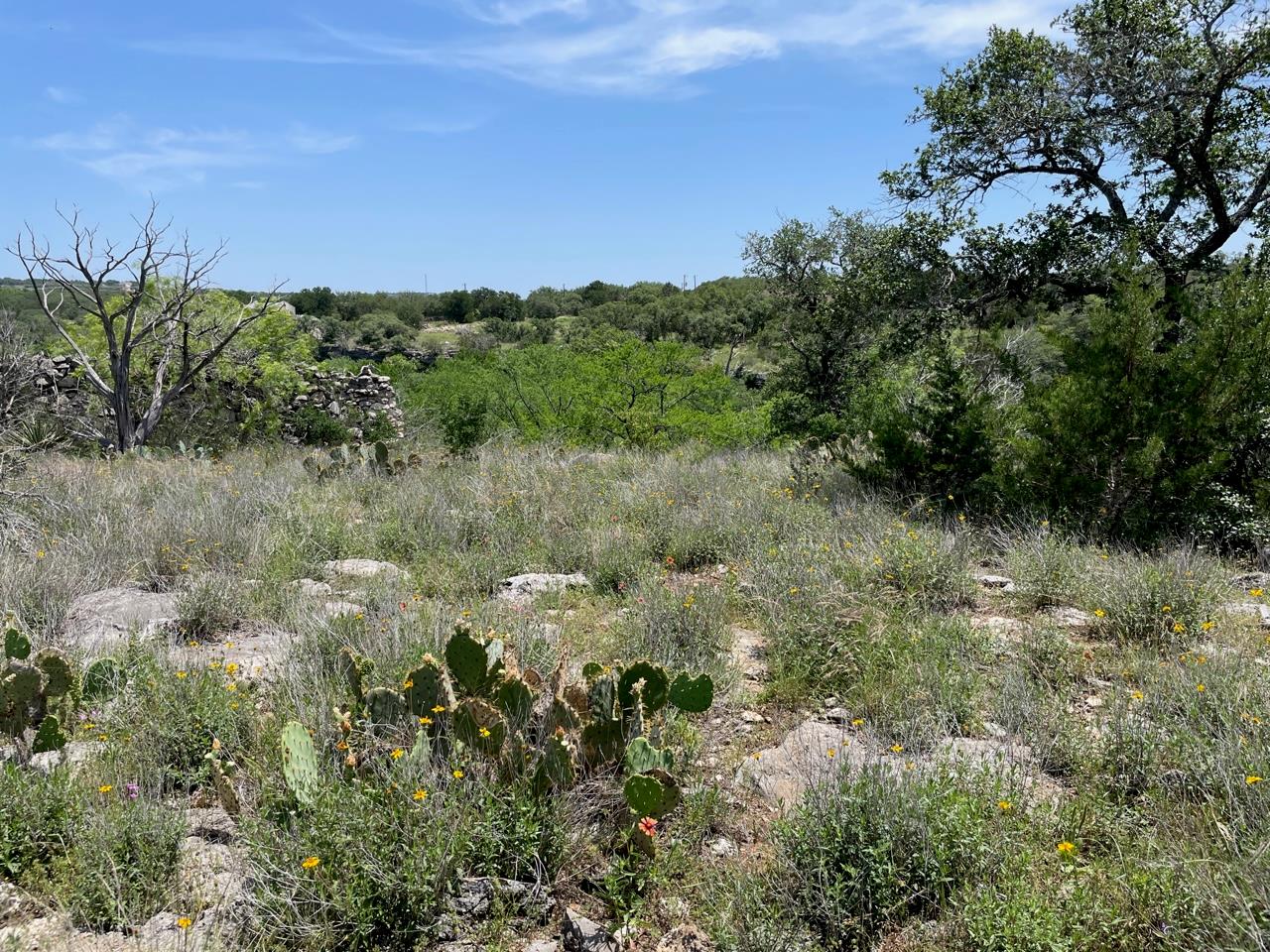 4207 Three Creek Trl, Spicewood, TX 78669