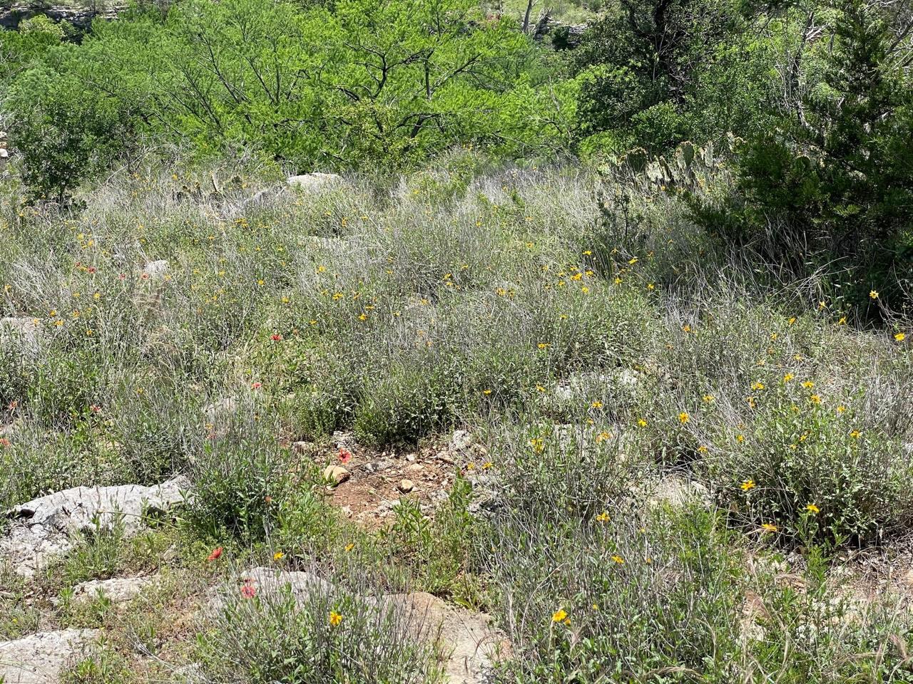 4207 Three Creek Trl, Spicewood, TX 78669