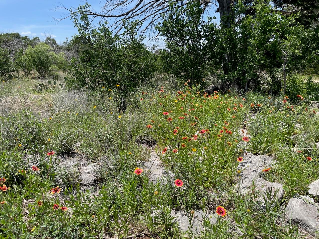 4207 Three Creek Trl, Spicewood, TX 78669