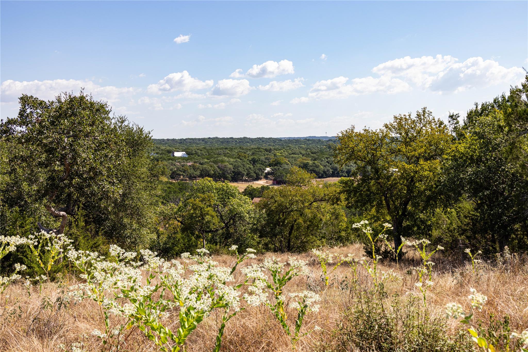 TBD Crazy Cross Rd, Wimberley, TX 78676