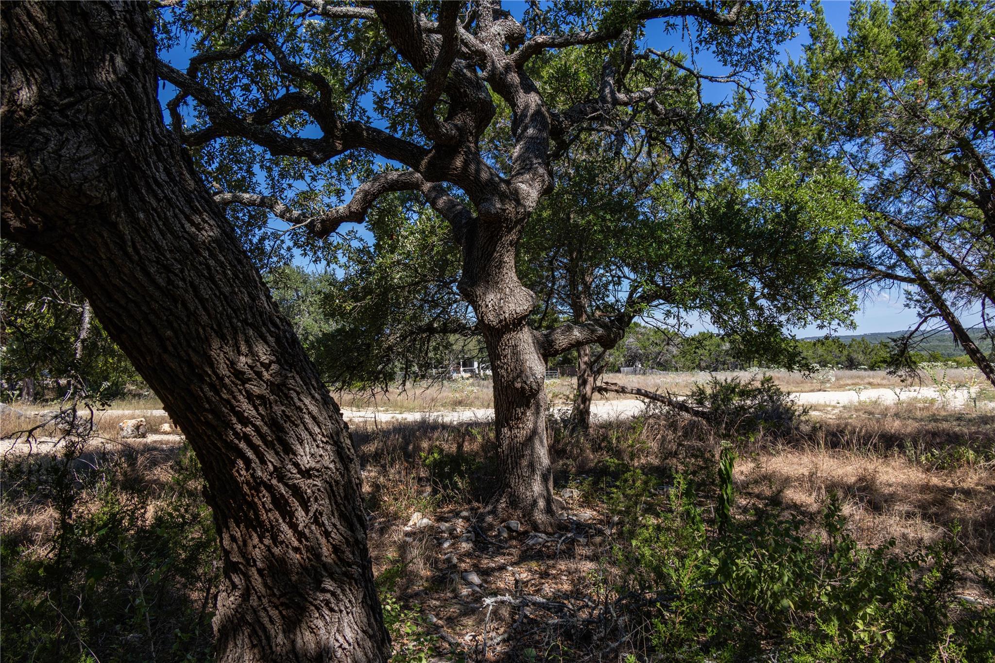 TBD Crazy Cross Rd, Wimberley, TX 78676