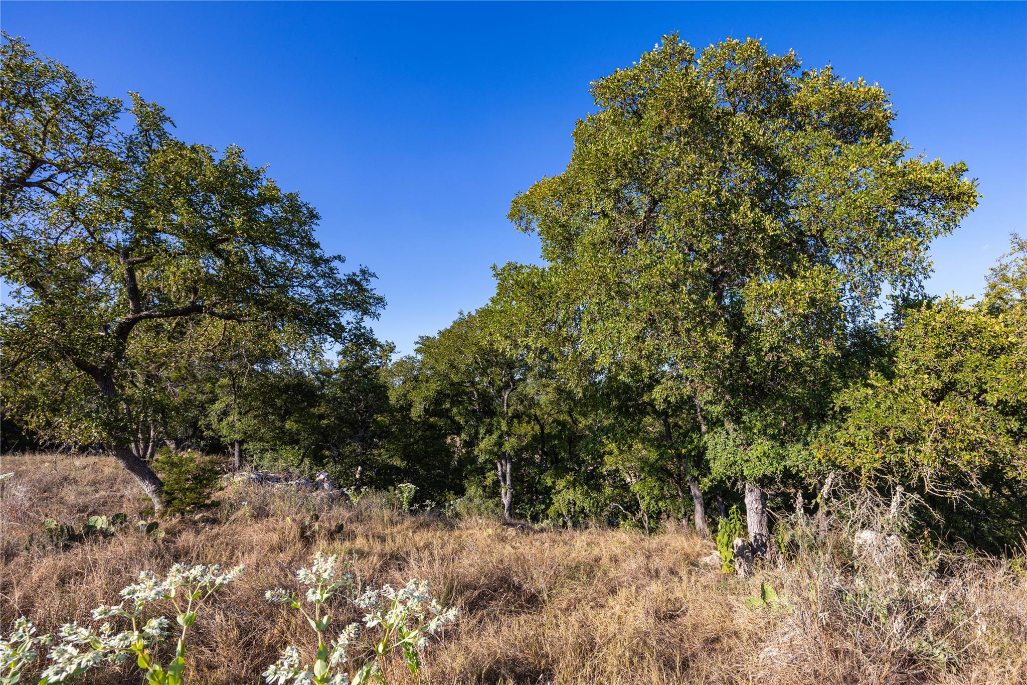 TBD Crazy Cross Rd, Wimberley, TX 78676