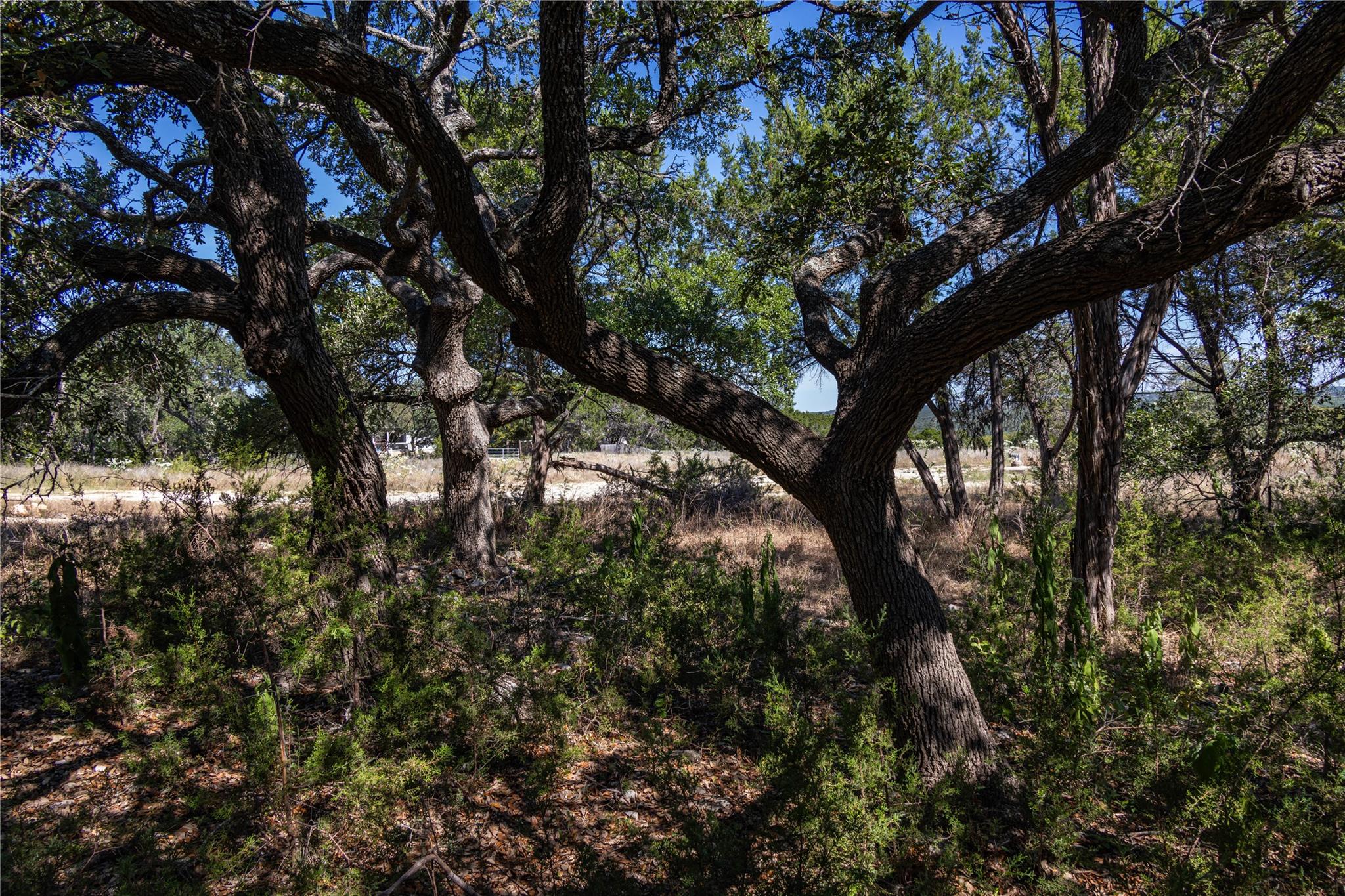 TBD Crazy Cross Rd, Wimberley, TX 78676