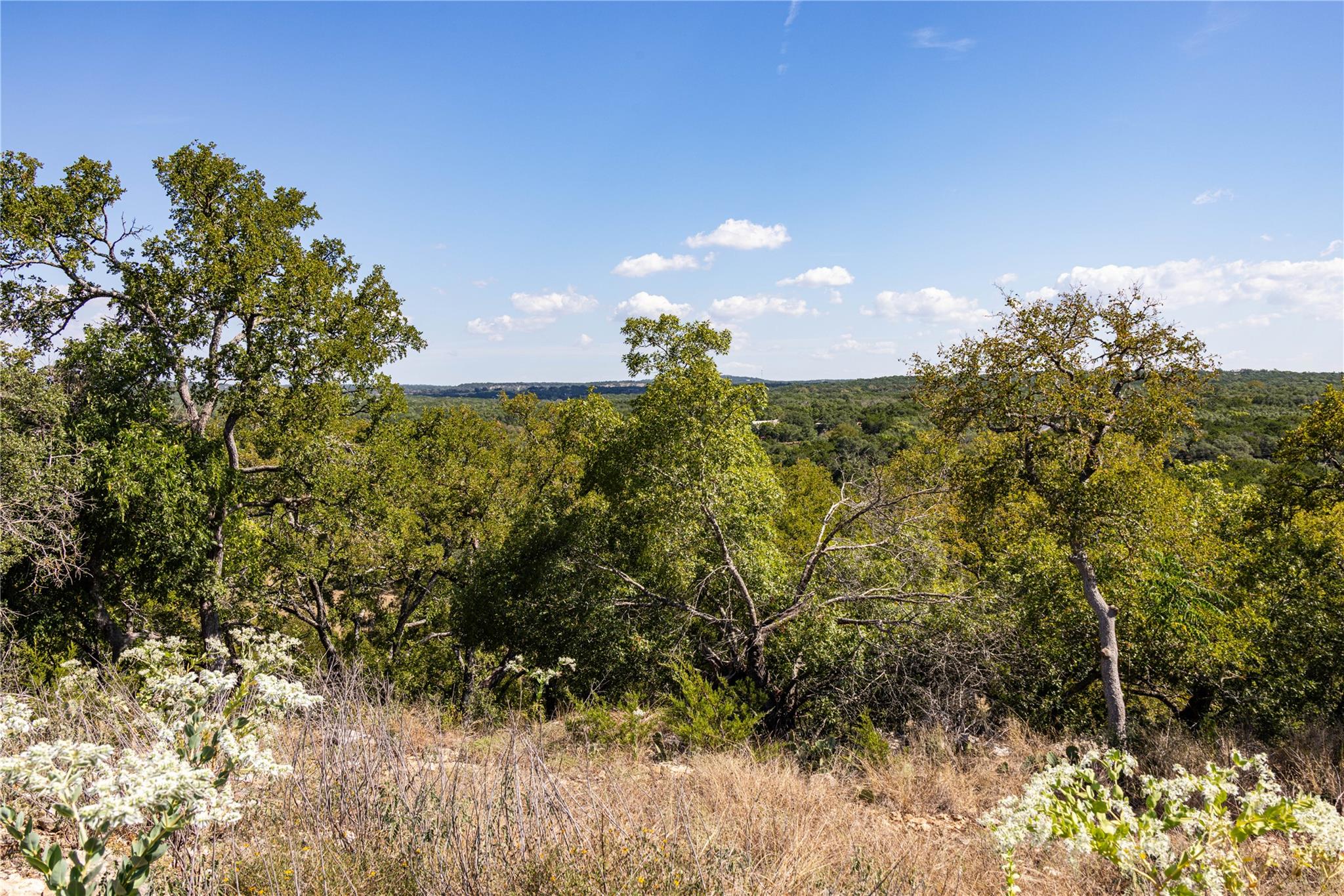 TBD Crazy Cross Rd, Wimberley, TX 78676