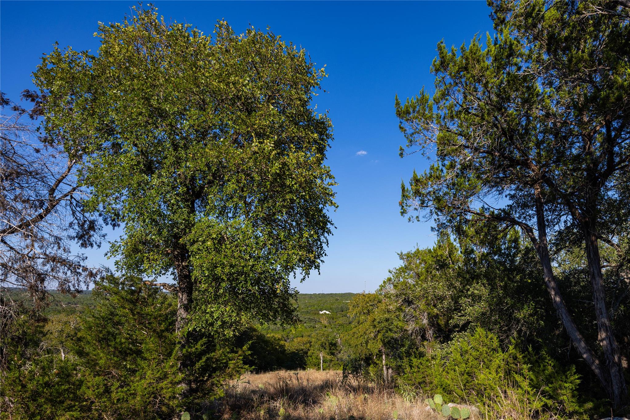 TBD Crazy Cross Rd, Wimberley, TX 78676