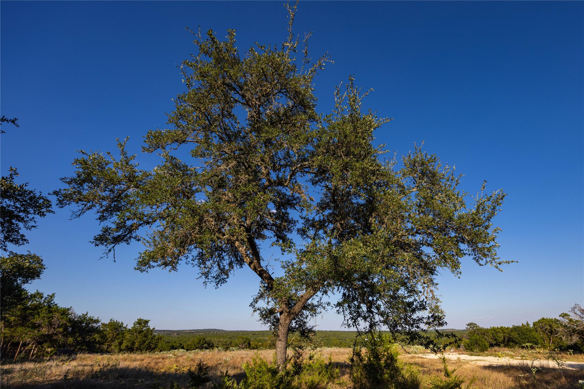 TBD Crazy Cross Rd, Wimberley, TX 78676