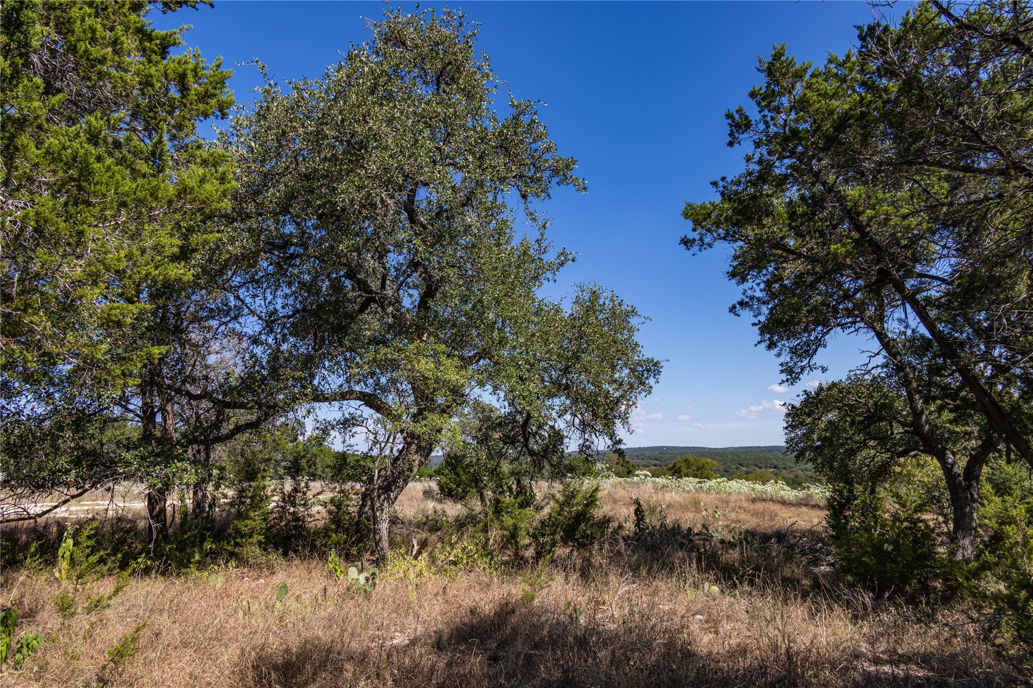 TBD Crazy Cross Rd, Wimberley, TX 78676