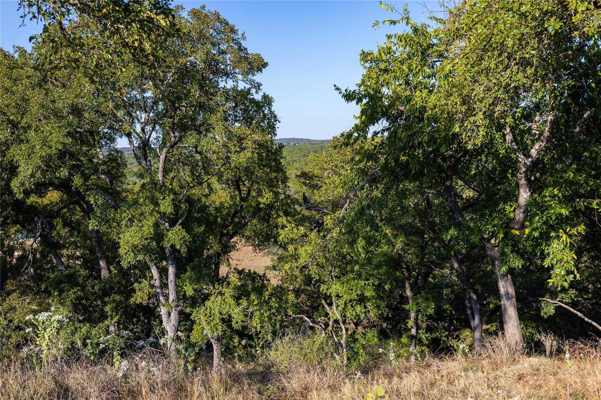 TBD Crazy Cross Rd, Wimberley, TX 78676