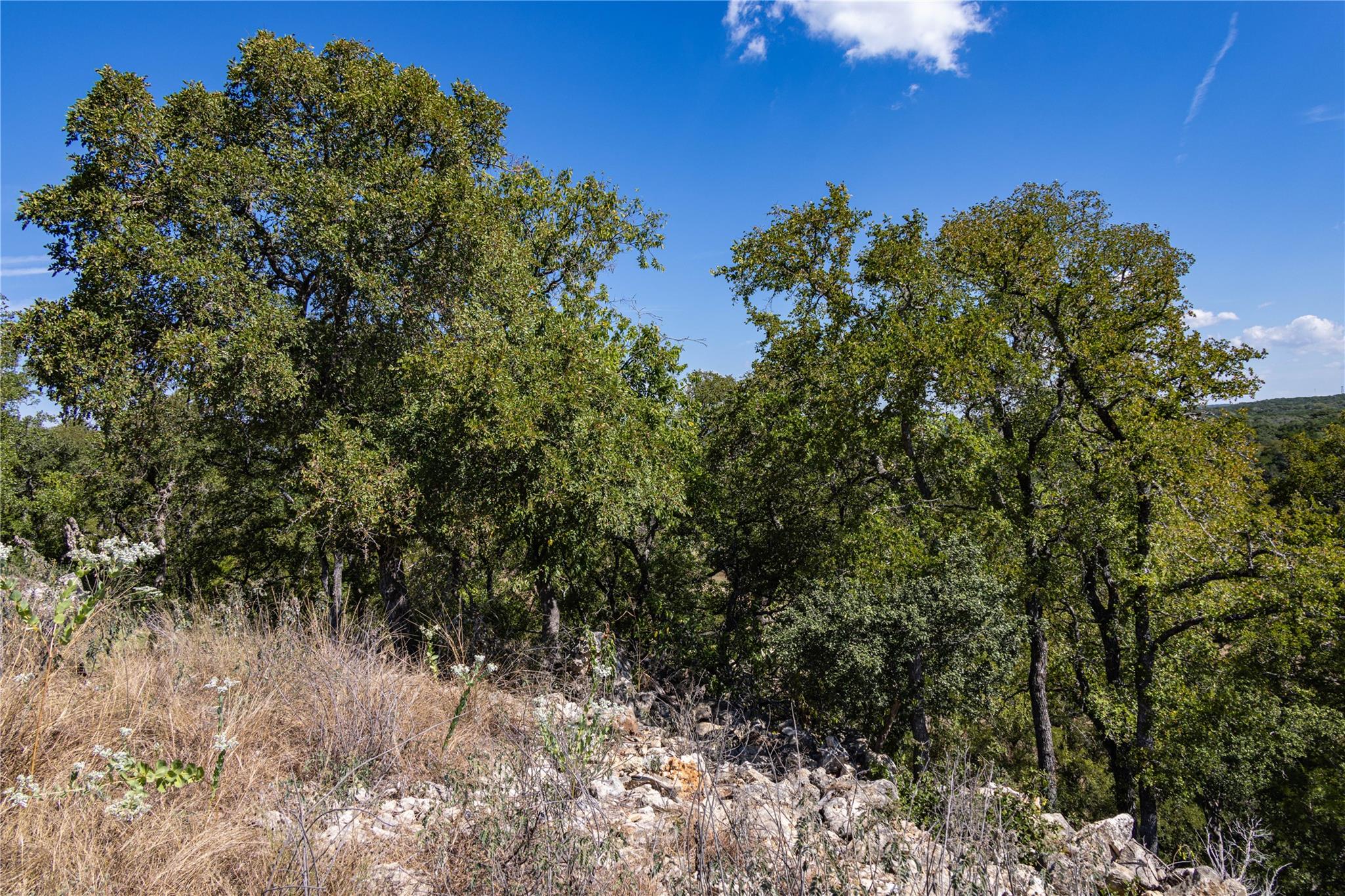 TBD Crazy Cross Rd, Wimberley, TX 78676