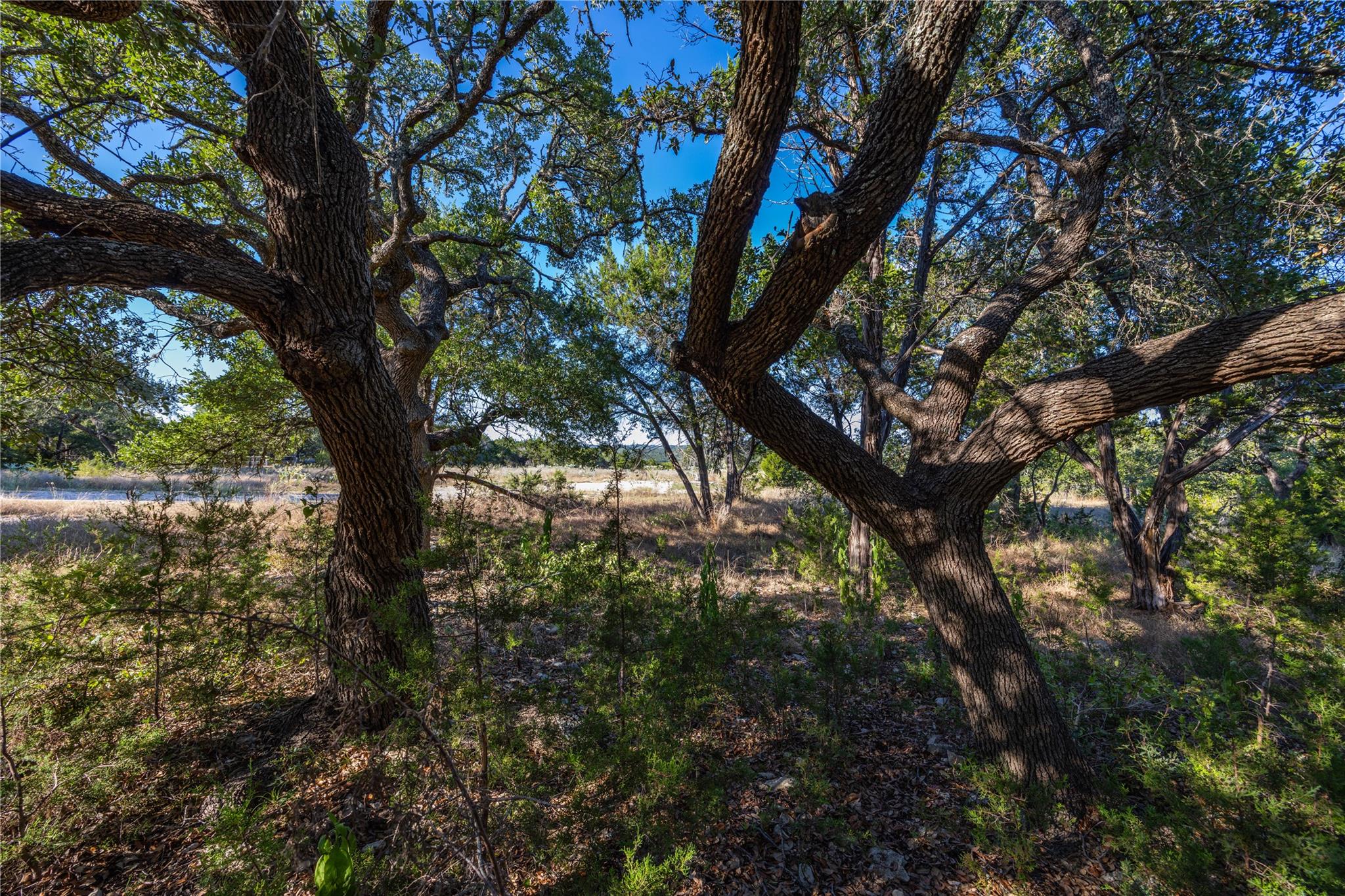TBD Crazy Cross Rd, Wimberley, TX 78676