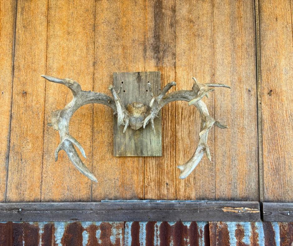 2131 Private Road 3157, Brackettville, TX 78832