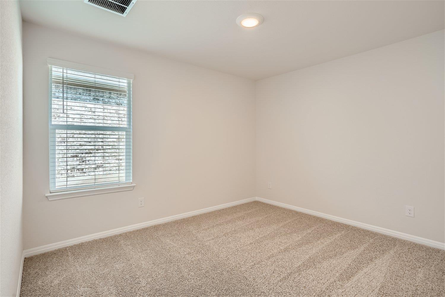 117 Alamo Vine Ct, Kyle, TX 78640