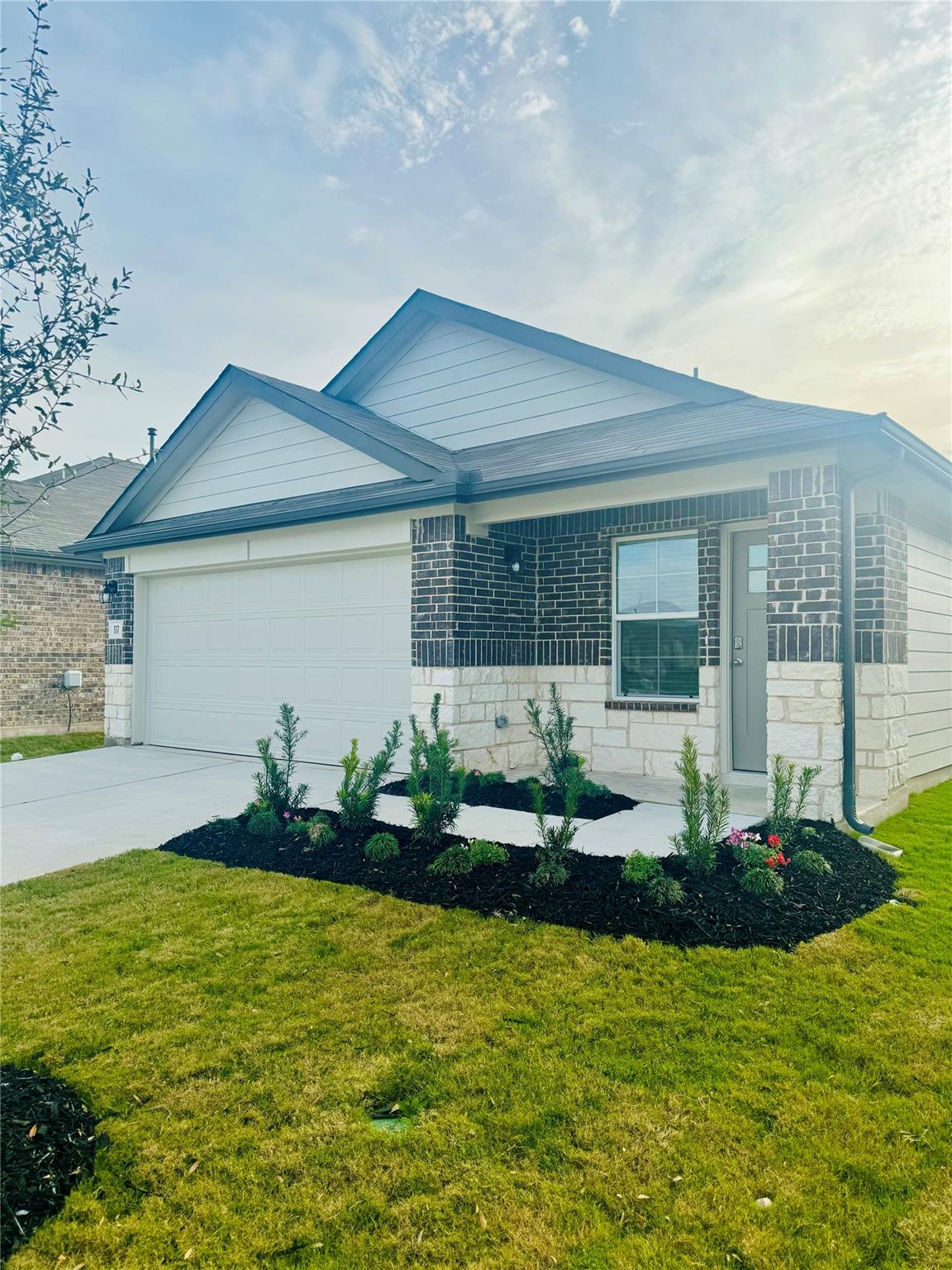 117 Alamo Vine Ct, Kyle, TX 78640