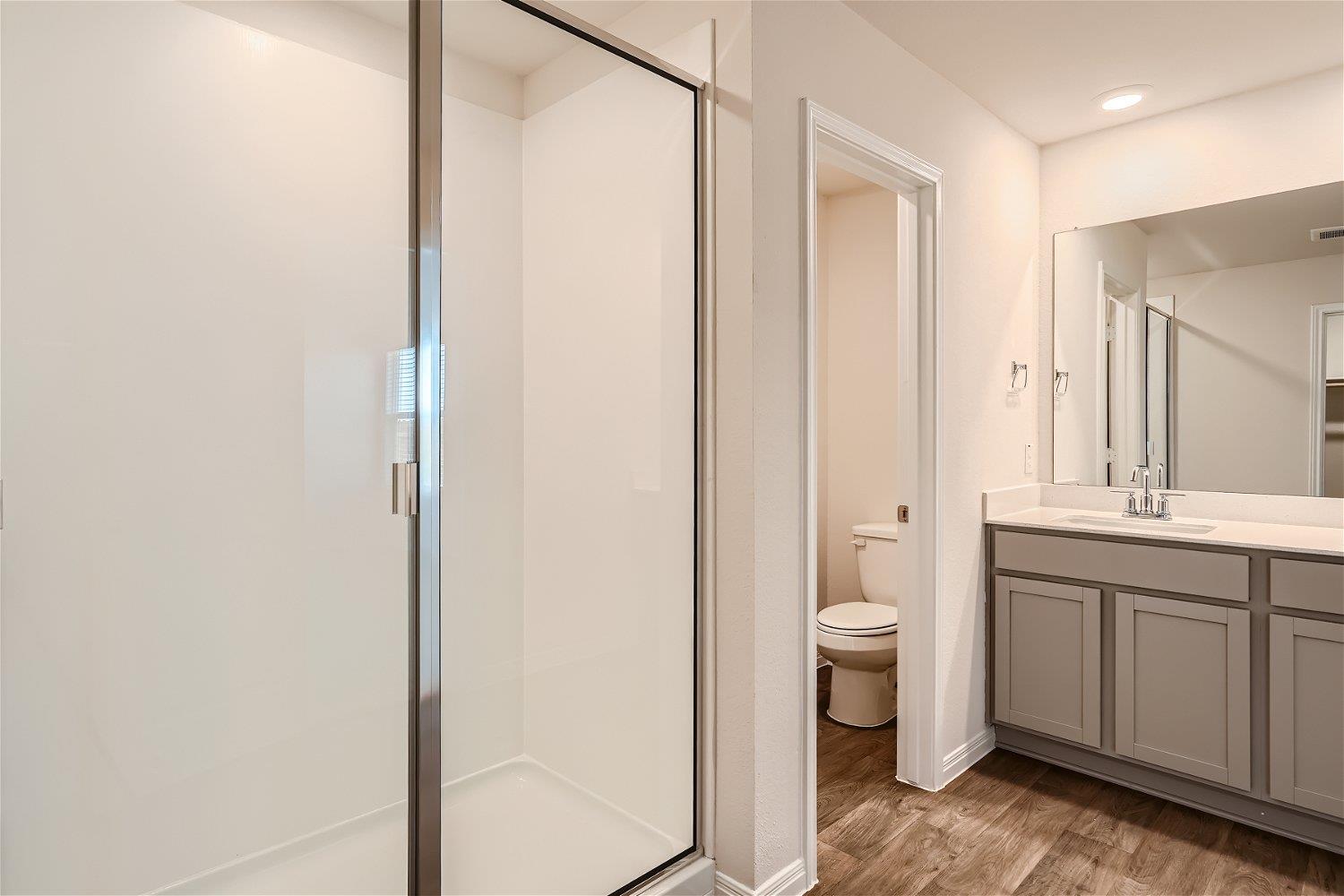 117 Alamo Vine Ct, Kyle, TX 78640