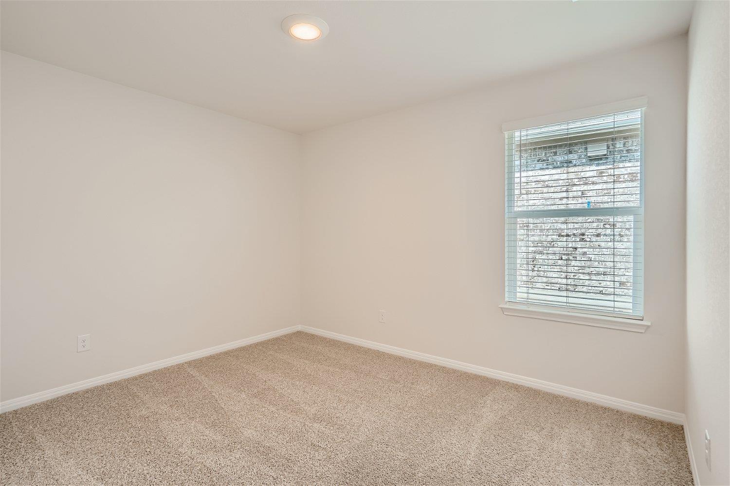 117 Alamo Vine Ct, Kyle, TX 78640