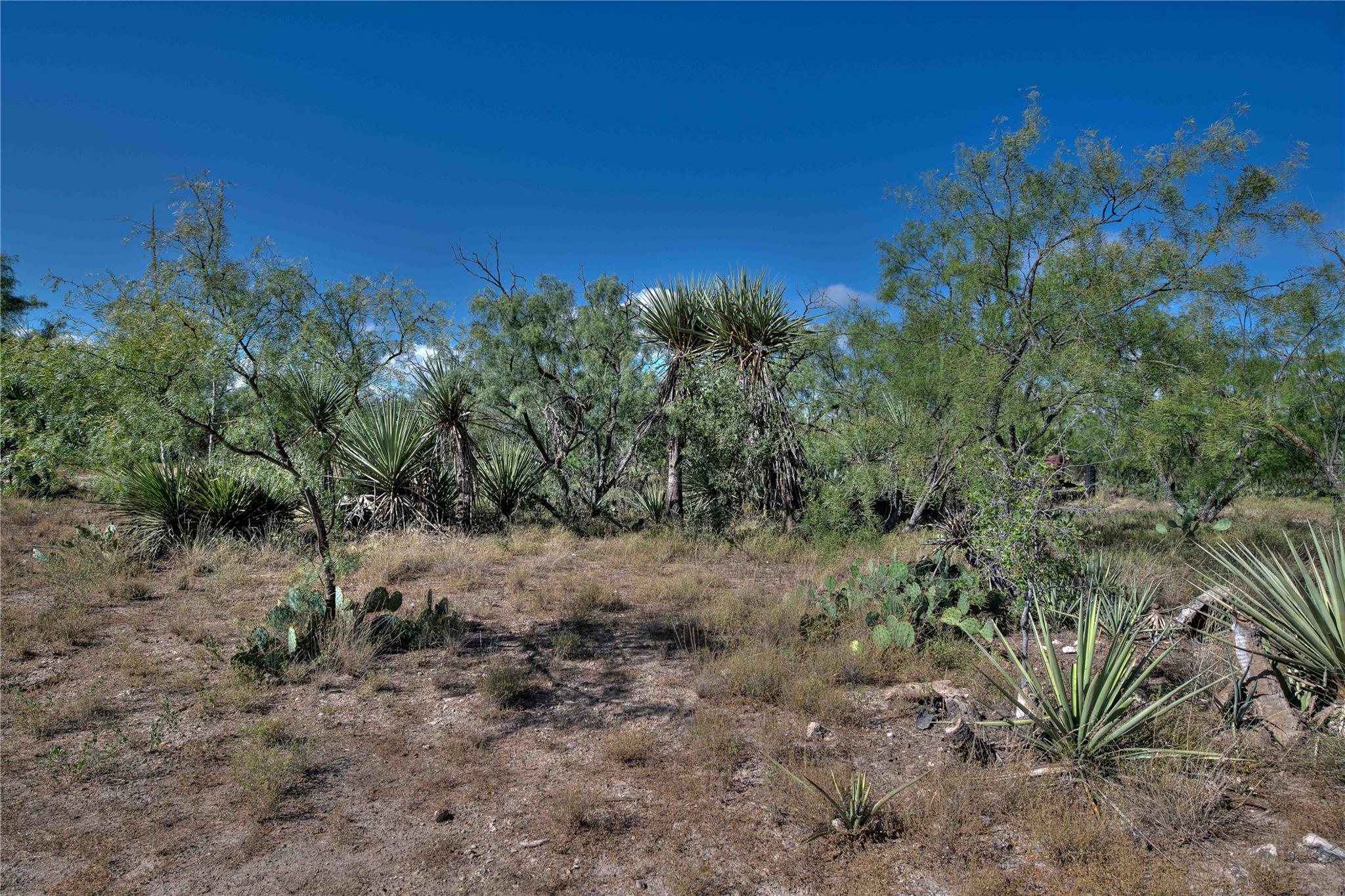 1281 pr 3740, Coleman, TX 76888