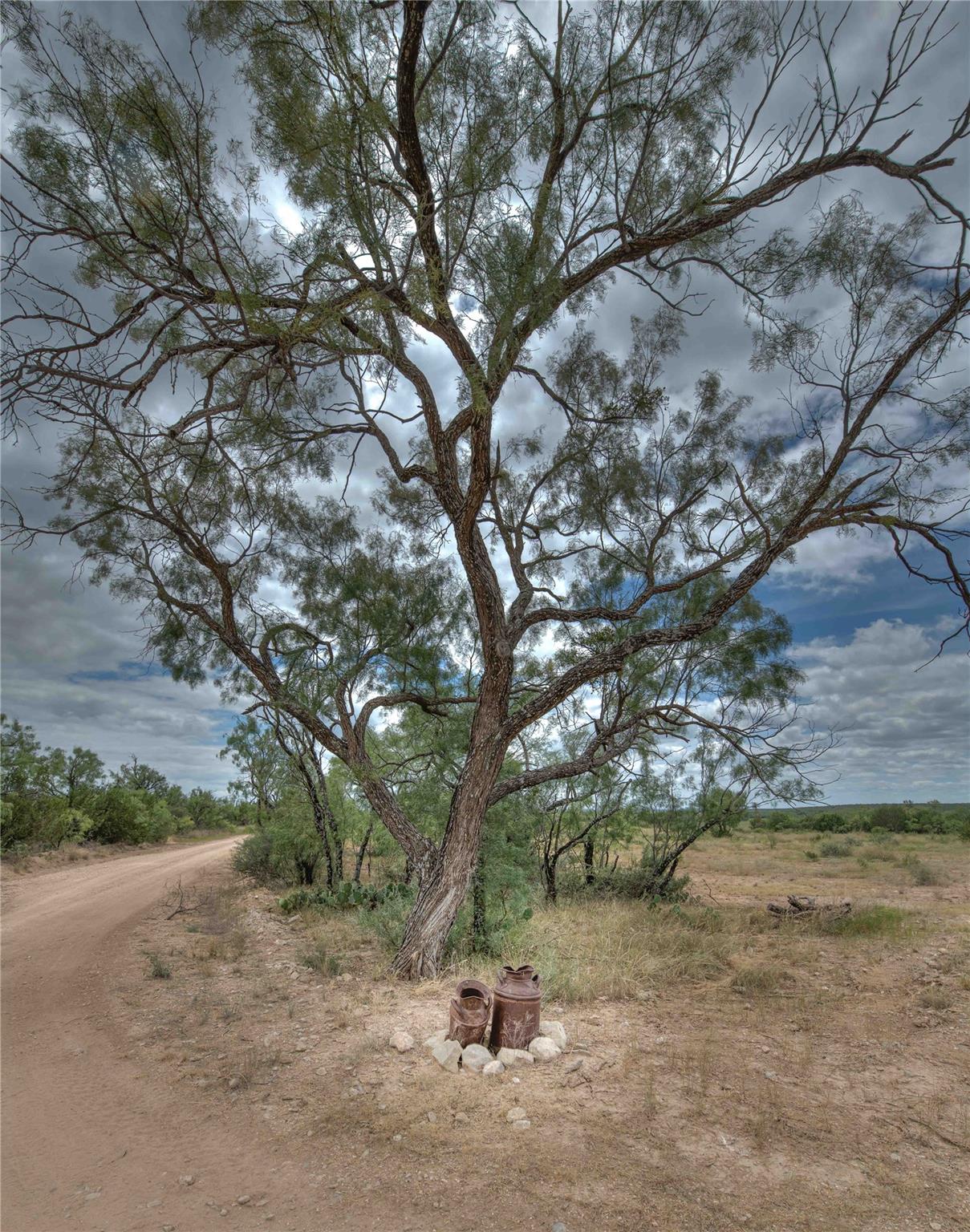 1281 pr 3740, Coleman, TX 76888