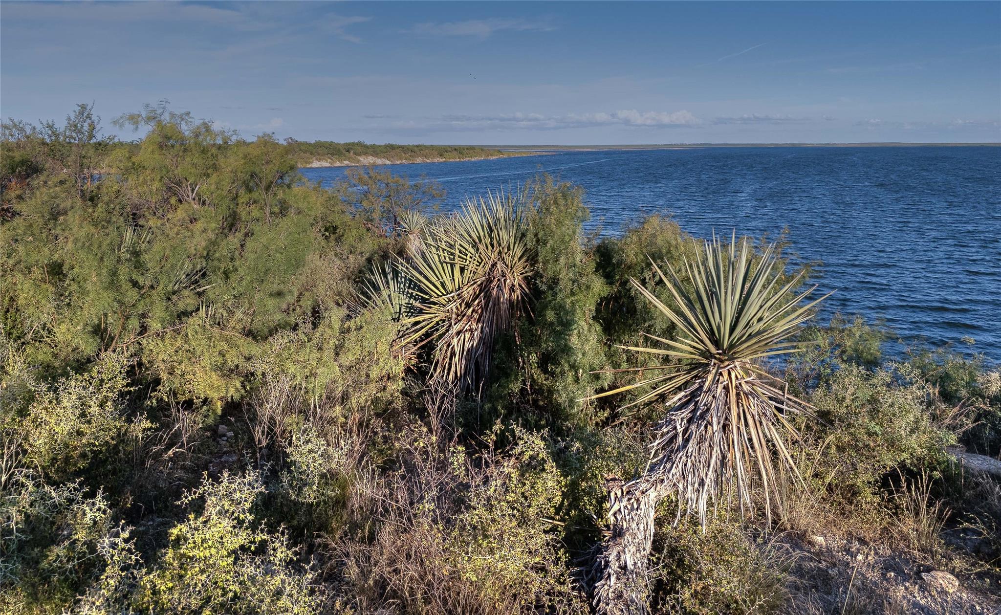 1281 pr 3740, Coleman, TX 76888