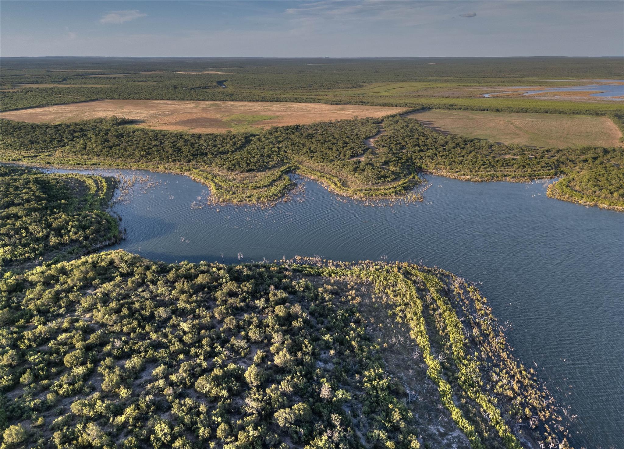 1281 pr 3740, Coleman, TX 76888