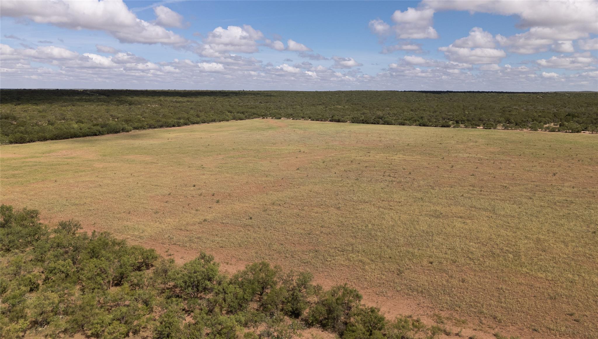 1281 pr 3740, Coleman, TX 76888
