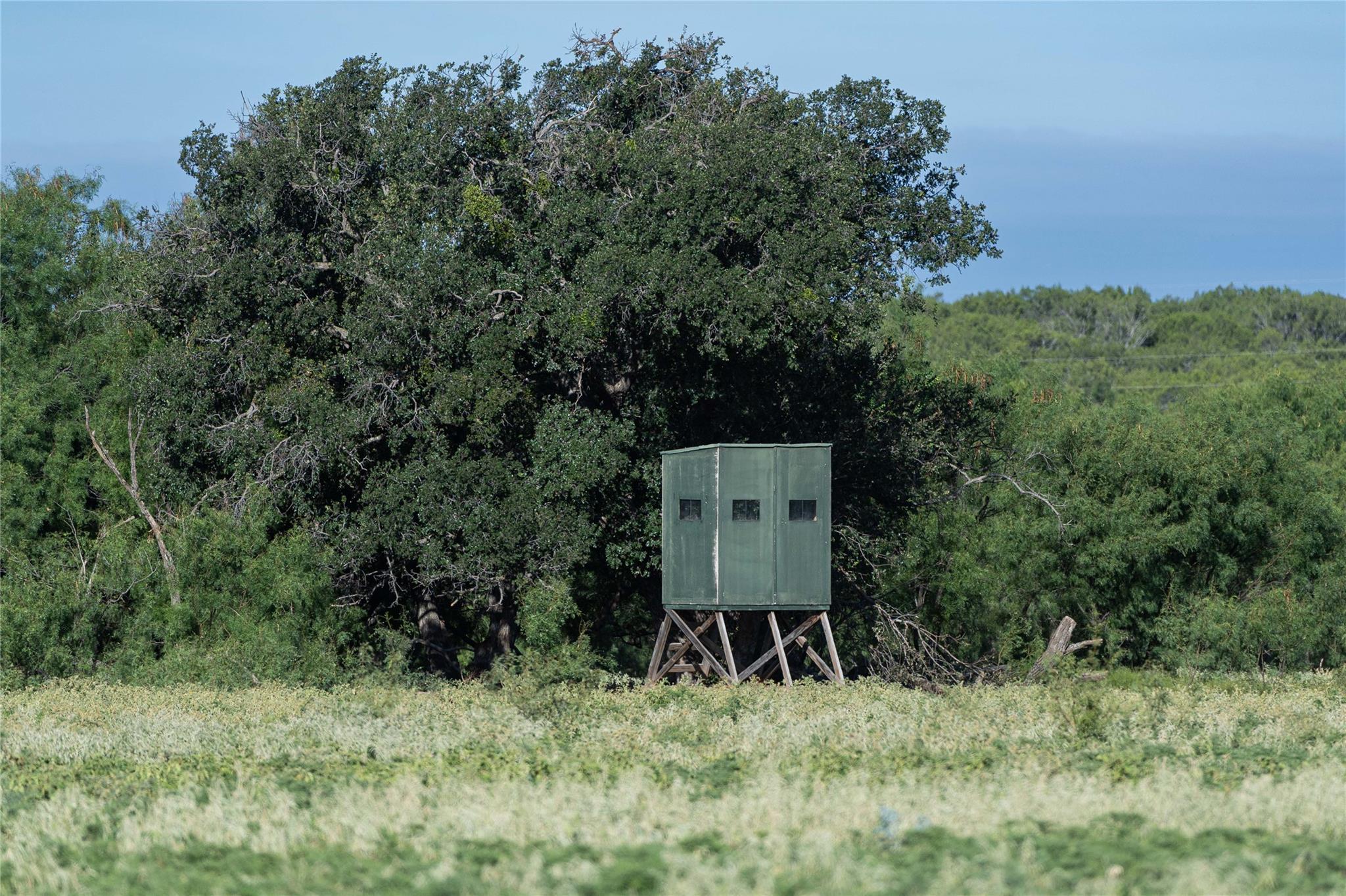 1281 pr 3740, Coleman, TX 76888