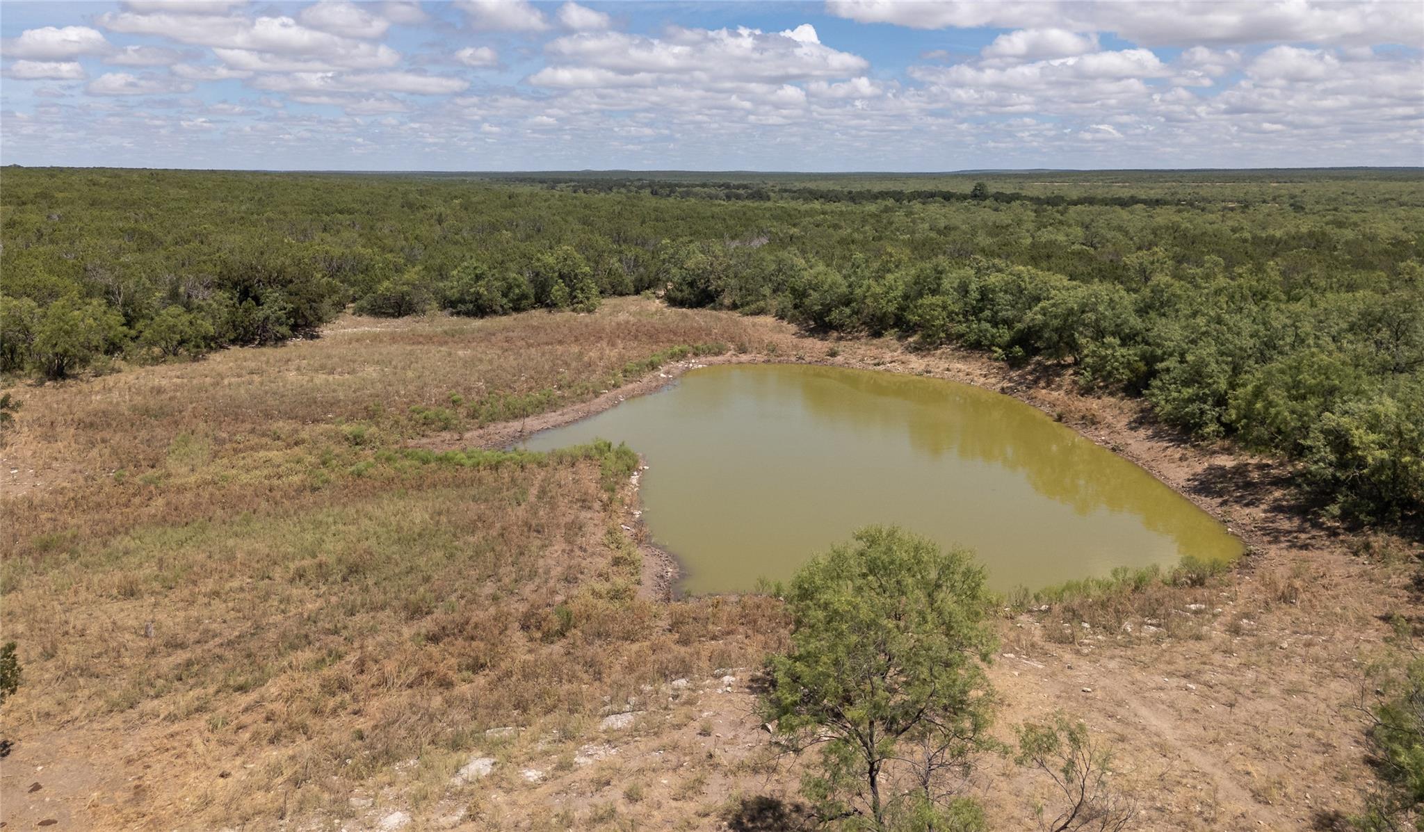 1281 pr 3740, Coleman, TX 76888