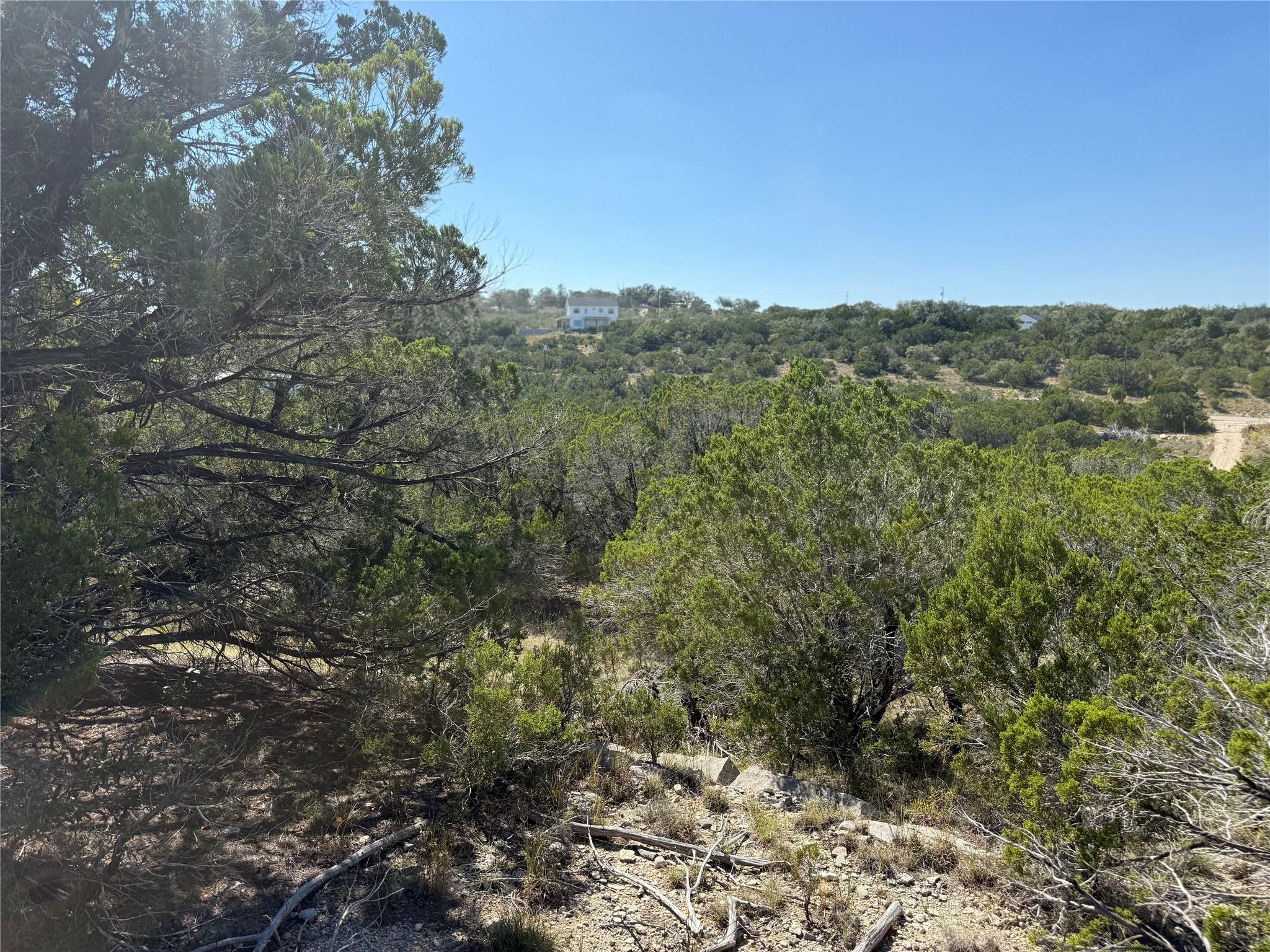 917 Roy Creek Trl, Dripping Springs, TX 78620