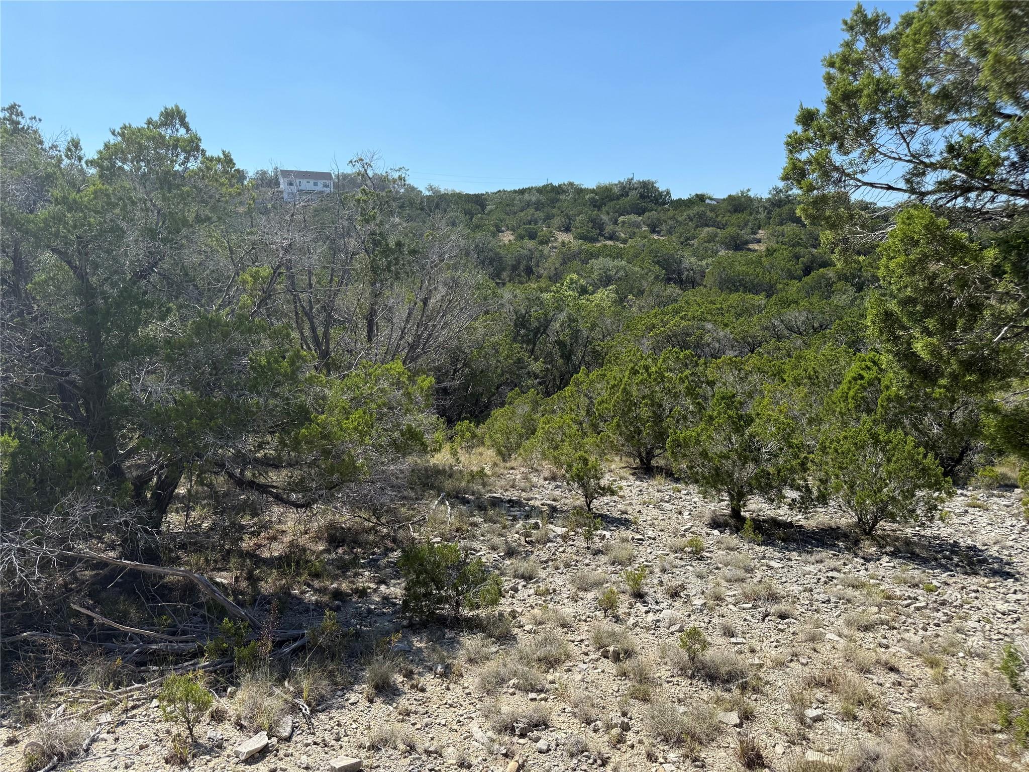 917 Roy Creek Trl, Dripping Springs, TX 78620