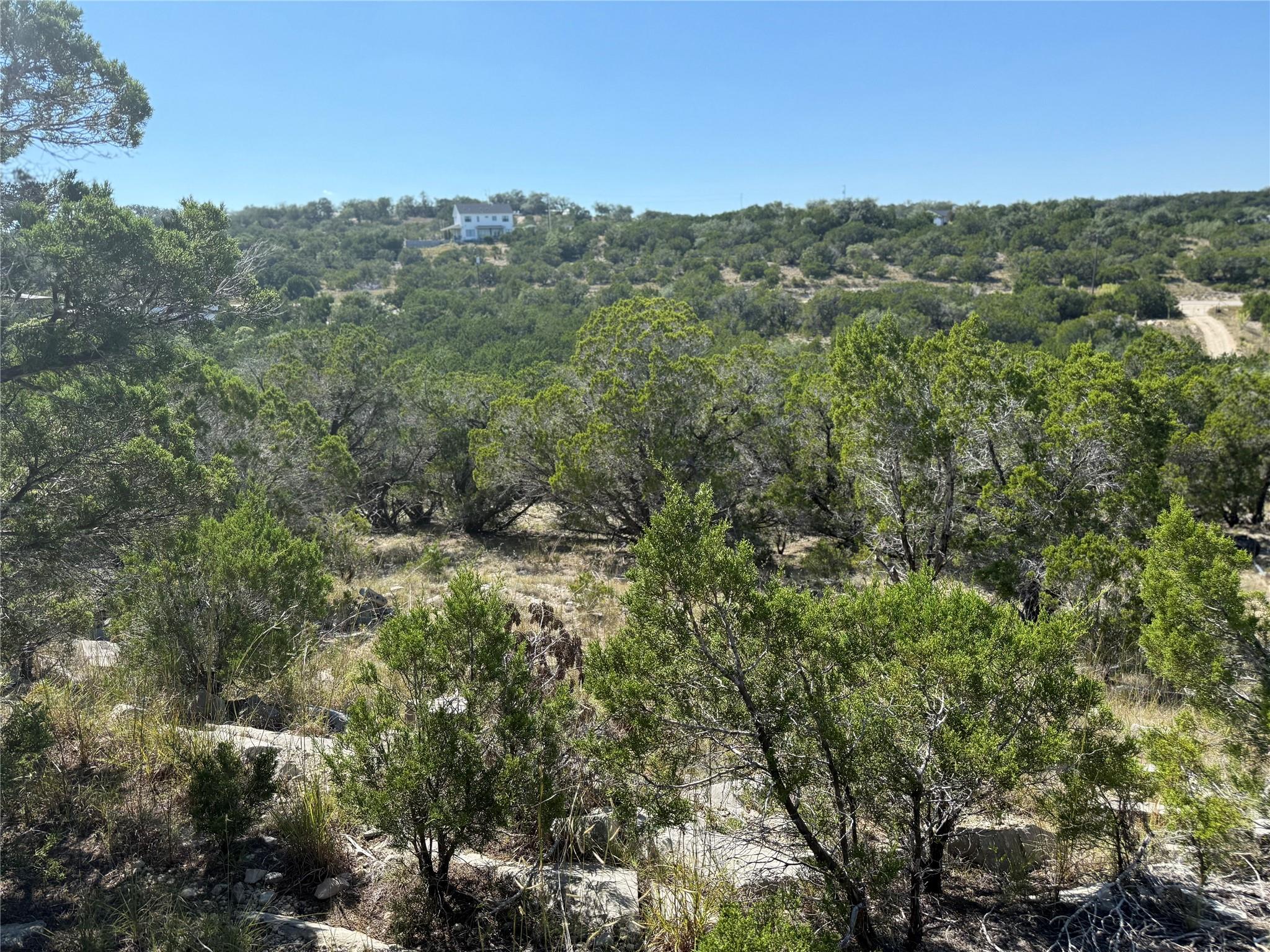 917 Roy Creek Trl, Dripping Springs, TX 78620