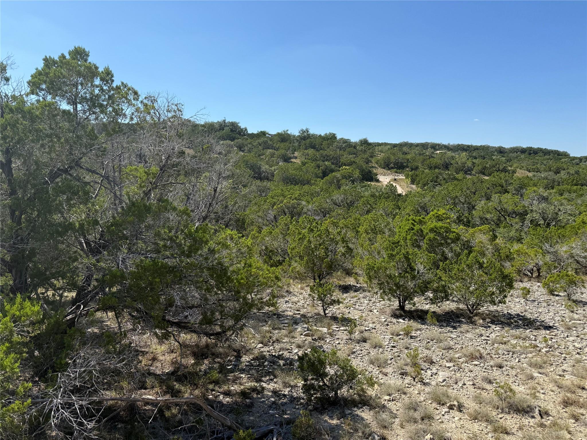917 Roy Creek Trl, Dripping Springs, TX 78620