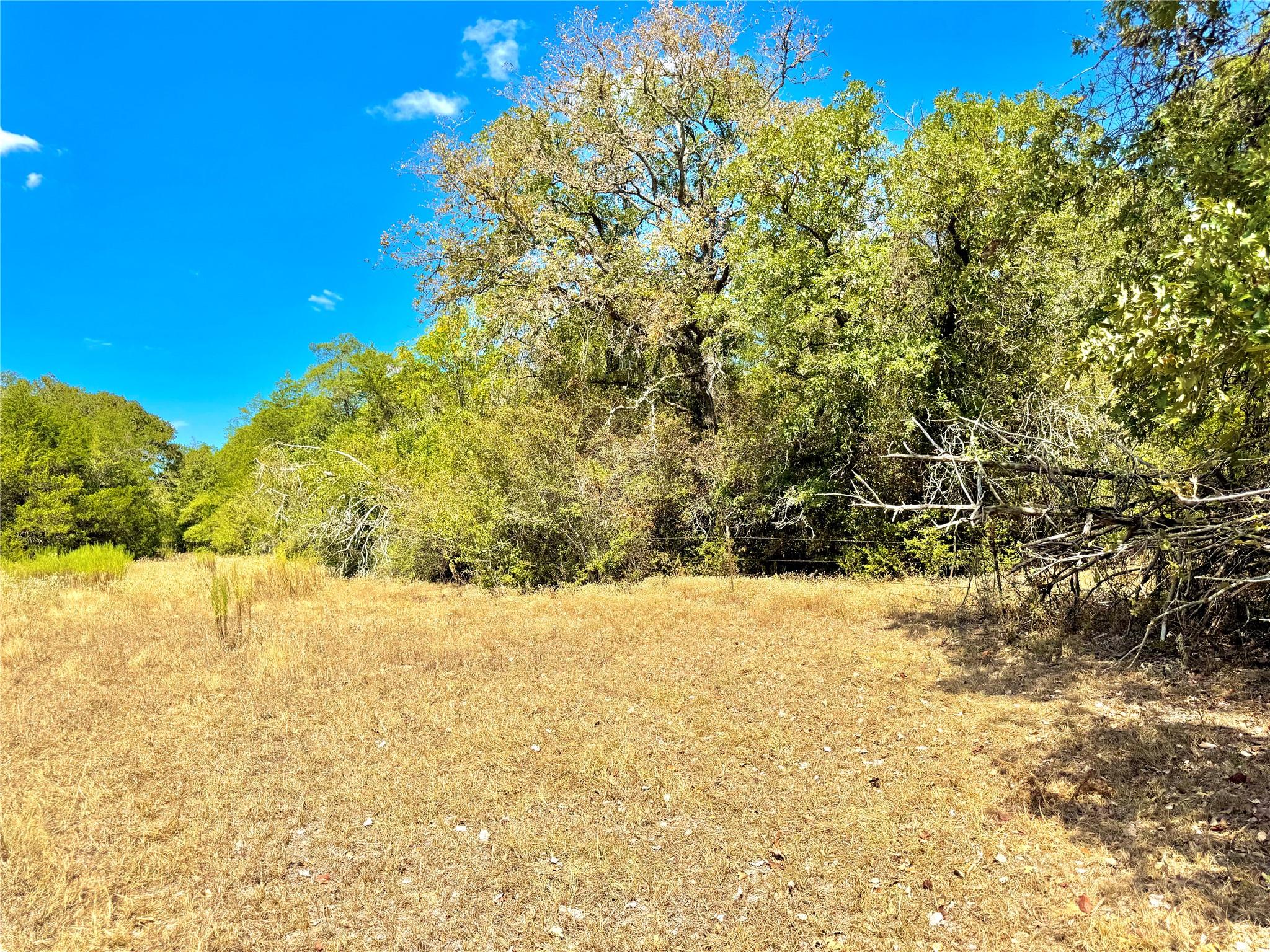 TBD 50.62 Acres Rabel Rd, Rosanky, TX 78953